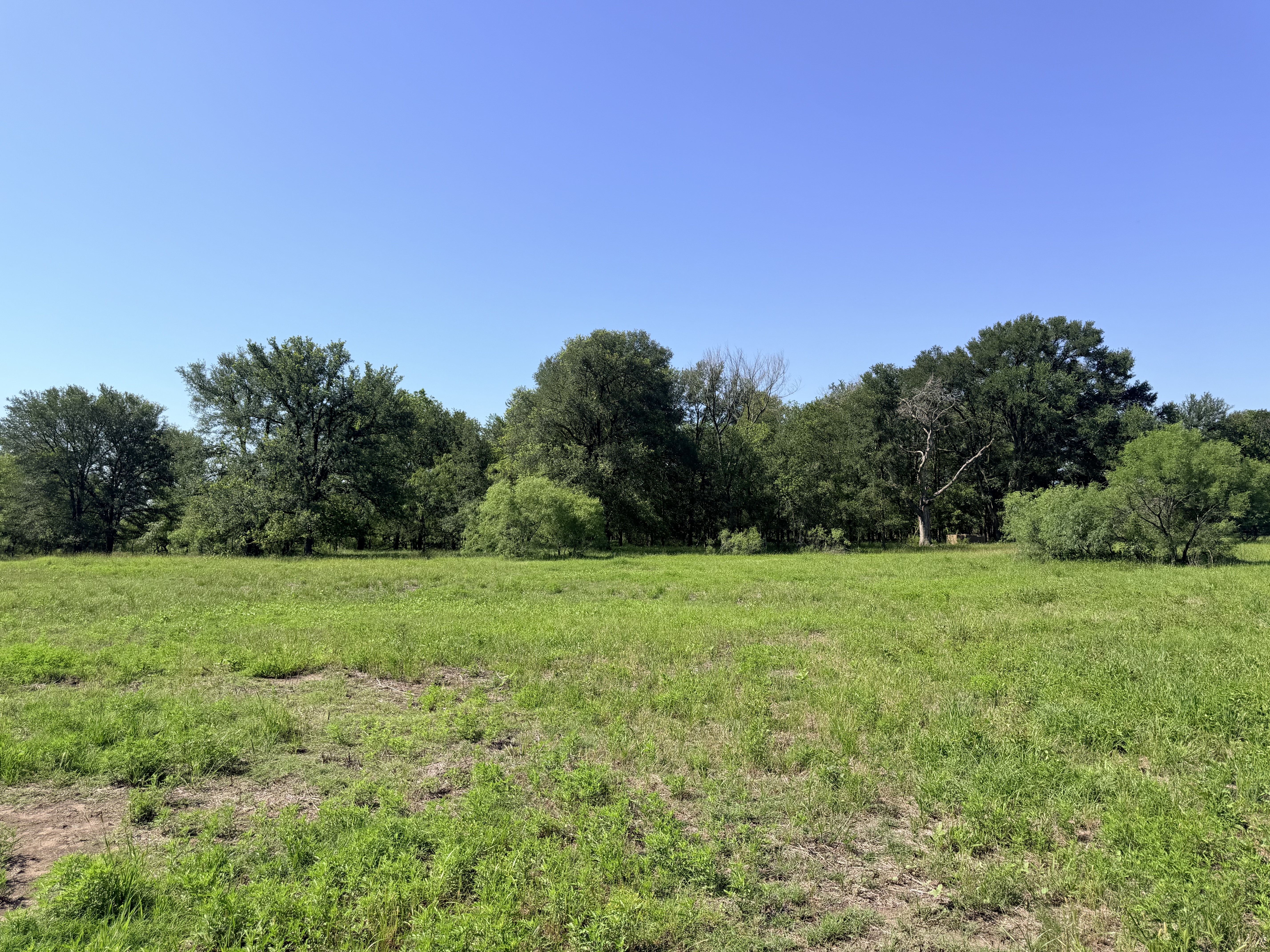 Discover a stunning piece of Central Texas landscape located in Luling, TX. This property offers over 13+ acres of land, providing the perfect blend of country living and convenience. Enjoy the serene environment, just minutes from town, while experiencing true rural tranquility. The land boasts enormous shade trees and beautiful creek bottom terrain. Its gentle, sloping topography offers pristine views of the surrounding countryside, making it an ideal spot for those seeking scenic vistas. West Plum Creek runs along the backside of the property, adding to its natural appeal. The property features FM highway frontage, ensuring easy access. Several prime building sites are ready for development, with new fencing and electricity already installed. These improvements make the land immediately usable for various purposes. Situated within 5 minutes of Luling and just 10 minutes from Lockhart, this property provides quick access to nearby towns. It is less than an hour from both Austin and San Antonio, and only about 45 minutes from the Austin International Airport and Circuit of the Americas racetrack.
NO RESTRICTIONS
AG EXEMPT - WILDLIFE