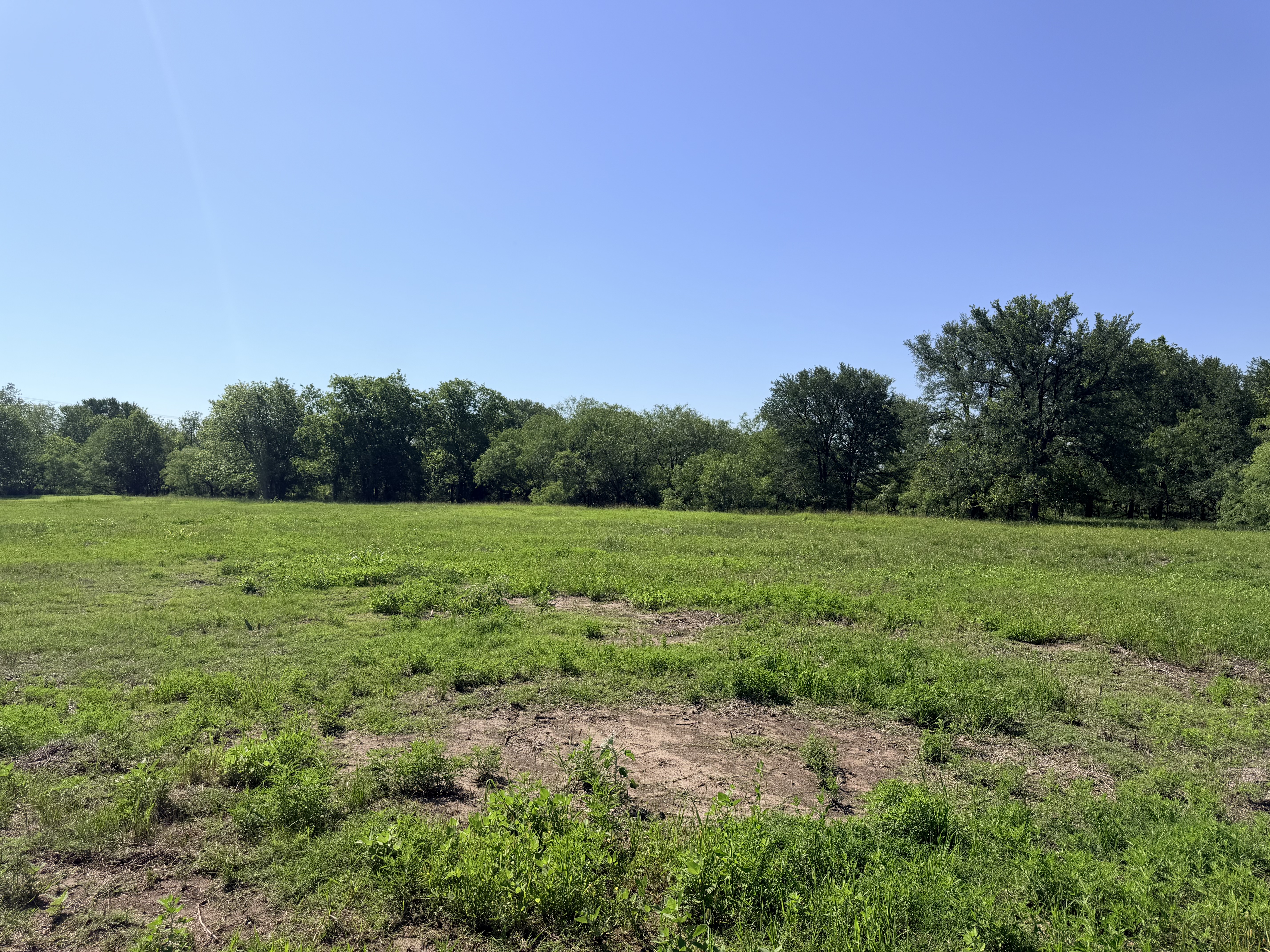 Discover a stunning piece of Central Texas landscape located in Luling, TX. This property offers over 13+ acres of land, providing the perfect blend of country living and convenience. Enjoy the serene environment, just minutes from town, while experiencing true rural tranquility. The land boasts enormous shade trees and beautiful creek bottom terrain. Its gentle, sloping topography offers pristine views of the surrounding countryside, making it an ideal spot for those seeking scenic vistas. West Plum Creek runs along the backside of the property, adding to its natural appeal. The property features FM highway frontage, ensuring easy access. Several prime building sites are ready for development, with new fencing and electricity already installed. These improvements make the land immediately usable for various purposes. Situated within 5 minutes of Luling and just 10 minutes from Lockhart, this property provides quick access to nearby towns. It is less than an hour from both Austin and San Antonio, and only about 45 minutes from the Austin International Airport and Circuit of the Americas racetrack. 
NO RESTRICTIONS
AG EXEMPT - WILDLIFE