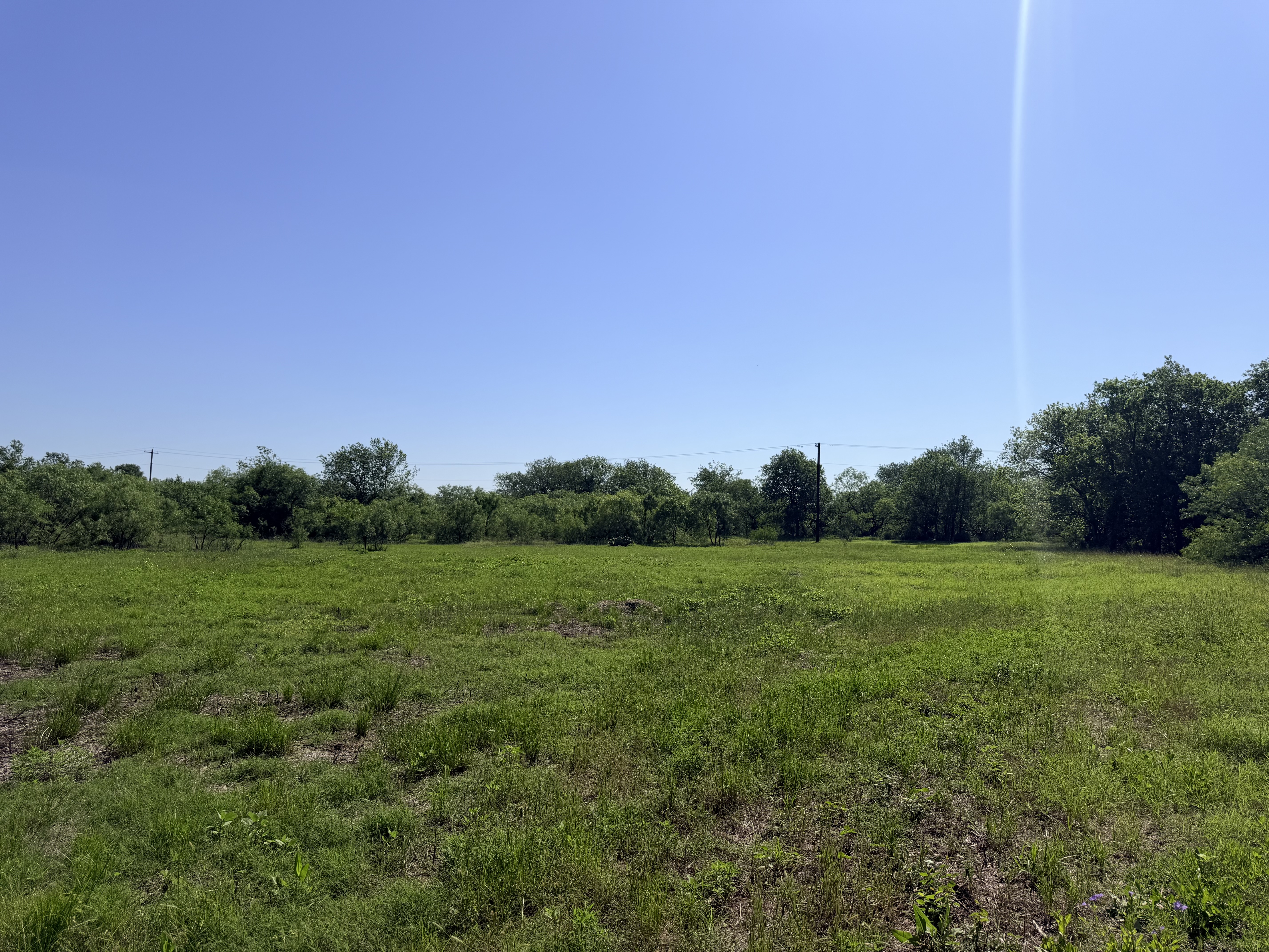 Discover a stunning piece of Central Texas landscape located in Luling, TX. This property offers over 13+ acres of land, providing the perfect blend of country living and convenience. Enjoy the serene environment, just minutes from town, while experiencing true rural tranquility. The land boasts enormous shade trees and beautiful creek bottom terrain. Its gentle, sloping topography offers pristine views of the surrounding countryside, making it an ideal spot for those seeking scenic vistas. West Plum Creek runs along the backside of the property, adding to its natural appeal. The property features FM highway frontage, ensuring easy access. Several prime building sites are ready for development, with new fencing and electricity already installed. These improvements make the land immediately usable for various purposes. Situated within 5 minutes of Luling and just 10 minutes from Lockhart, this property provides quick access to nearby towns. It is less than an hour from both Austin and San Antonio, and only about 45 minutes from the Austin International Airport and Circuit of the Americas racetrack. 
NO RESTRICTIONS
AG EXEMPT - WILDLIFE