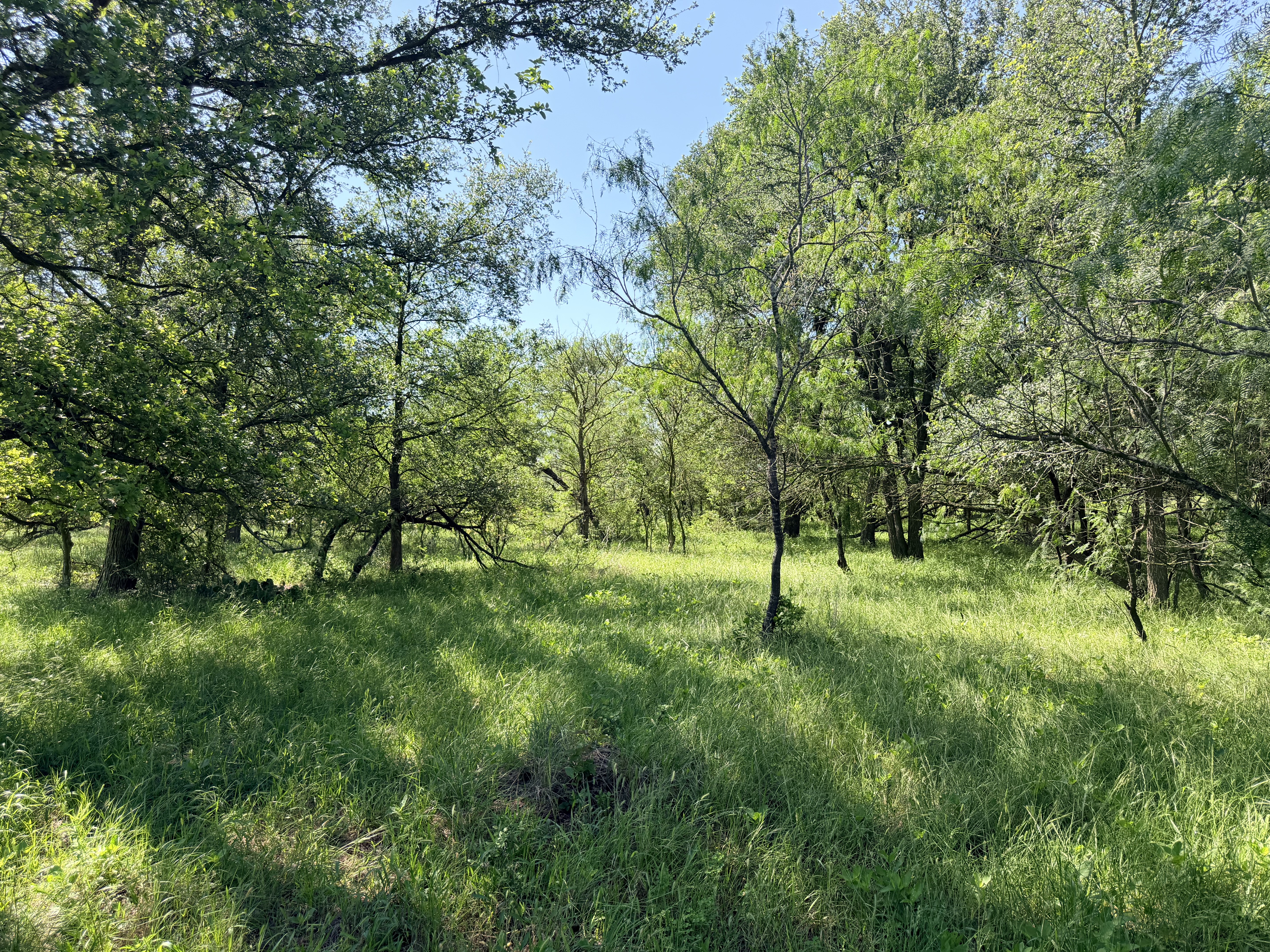 Discover a stunning piece of Central Texas landscape located in Luling, TX. This property offers over 13+ acres of land, providing the perfect blend of country living and convenience. Enjoy the serene environment, just minutes from town, while experiencing true rural tranquility. The land boasts enormous shade trees and beautiful creek bottom terrain. Its gentle, sloping topography offers pristine views of the surrounding countryside, making it an ideal spot for those seeking scenic vistas. West Plum Creek runs along the backside of the property, adding to its natural appeal. The property features FM highway frontage, ensuring easy access. Several prime building sites are ready for development, with new fencing and electricity already installed. These improvements make the land immediately usable for various purposes. Situated within 5 minutes of Luling and just 10 minutes from Lockhart, this property provides quick access to nearby towns. It is less than an hour from both Austin and San Antonio, and only about 45 minutes from the Austin International Airport and Circuit of the Americas racetrack. 
NO RESTRICTIONS
AG EXEMPT - WILDLIFE