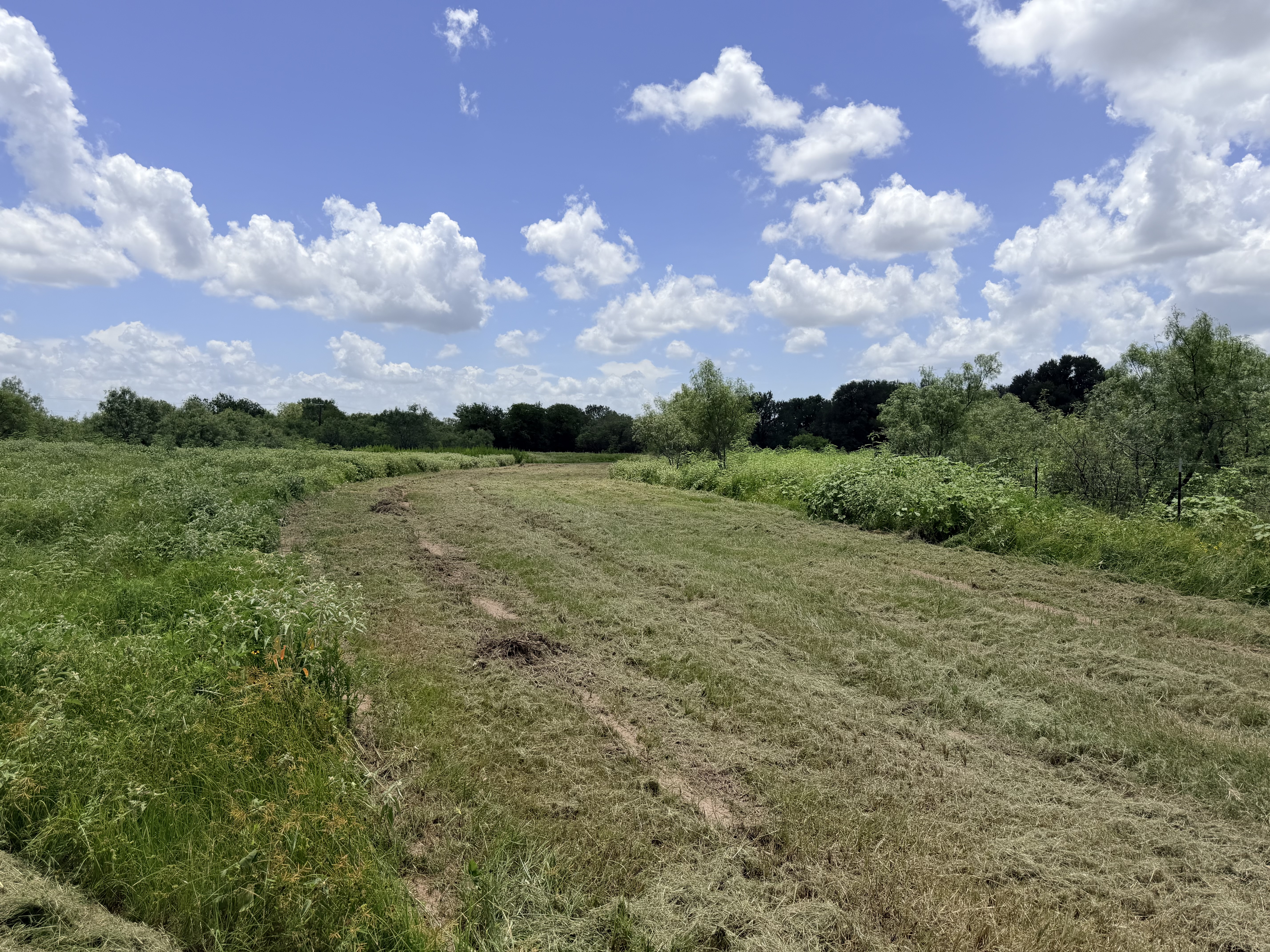 Discover a stunning piece of Central Texas landscape located in Luling, TX. This property offers over 13+ acres of land, providing the perfect blend of country living and convenience. Enjoy the serene environment, just minutes from town, while experiencing true rural tranquility. The land boasts enormous shade trees and beautiful creek bottom terrain. Its gentle, sloping topography offers pristine views of the surrounding countryside, making it an ideal spot for those seeking scenic vistas. West Plum Creek runs along the backside of the property, adding to its natural appeal. The property features FM highway frontage, ensuring easy access. Several prime building sites are ready for development, with new fencing and electricity already installed. These improvements make the land immediately usable for various purposes. Situated within 5 minutes of Luling and just 10 minutes from Lockhart, this property provides quick access to nearby towns. It is less than an hour from both Austin and San Antonio, and only about 45 minutes from the Austin International Airport and Circuit of the Americas racetrack. 
NO RESTRICTIONS
AG EXEMPT - WILDLIFE