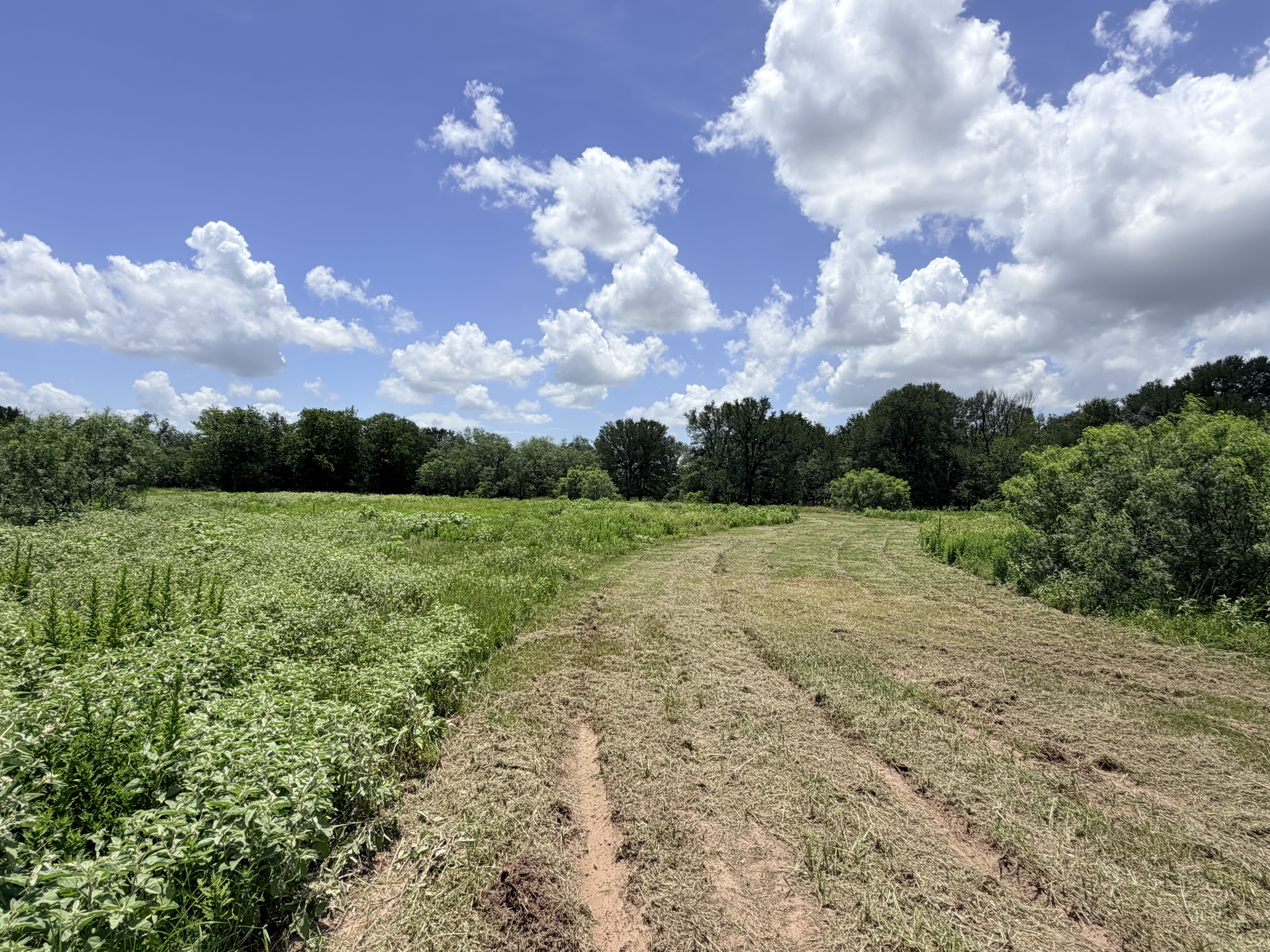 Discover a stunning piece of Central Texas landscape located in Luling, TX. This property offers over 13+ acres of land, providing the perfect blend of country living and convenience. Enjoy the serene environment, just minutes from town, while experiencing true rural tranquility. The land boasts enormous shade trees and beautiful creek bottom terrain. Its gentle, sloping topography offers pristine views of the surrounding countryside, making it an ideal spot for those seeking scenic vistas. West Plum Creek runs along the backside of the property, adding to its natural appeal. The property features FM highway frontage, ensuring easy access. Several prime building sites are ready for development, with new fencing and electricity already installed. These improvements make the land immediately usable for various purposes. Situated within 5 minutes of Luling and just 10 minutes from Lockhart, this property provides quick access to nearby towns. It is less than an hour from both Austin and San Antonio, and only about 45 minutes from the Austin International Airport and Circuit of the Americas racetrack. 
NO RESTRICTIONS
AG EXEMPT - WILDLIFE