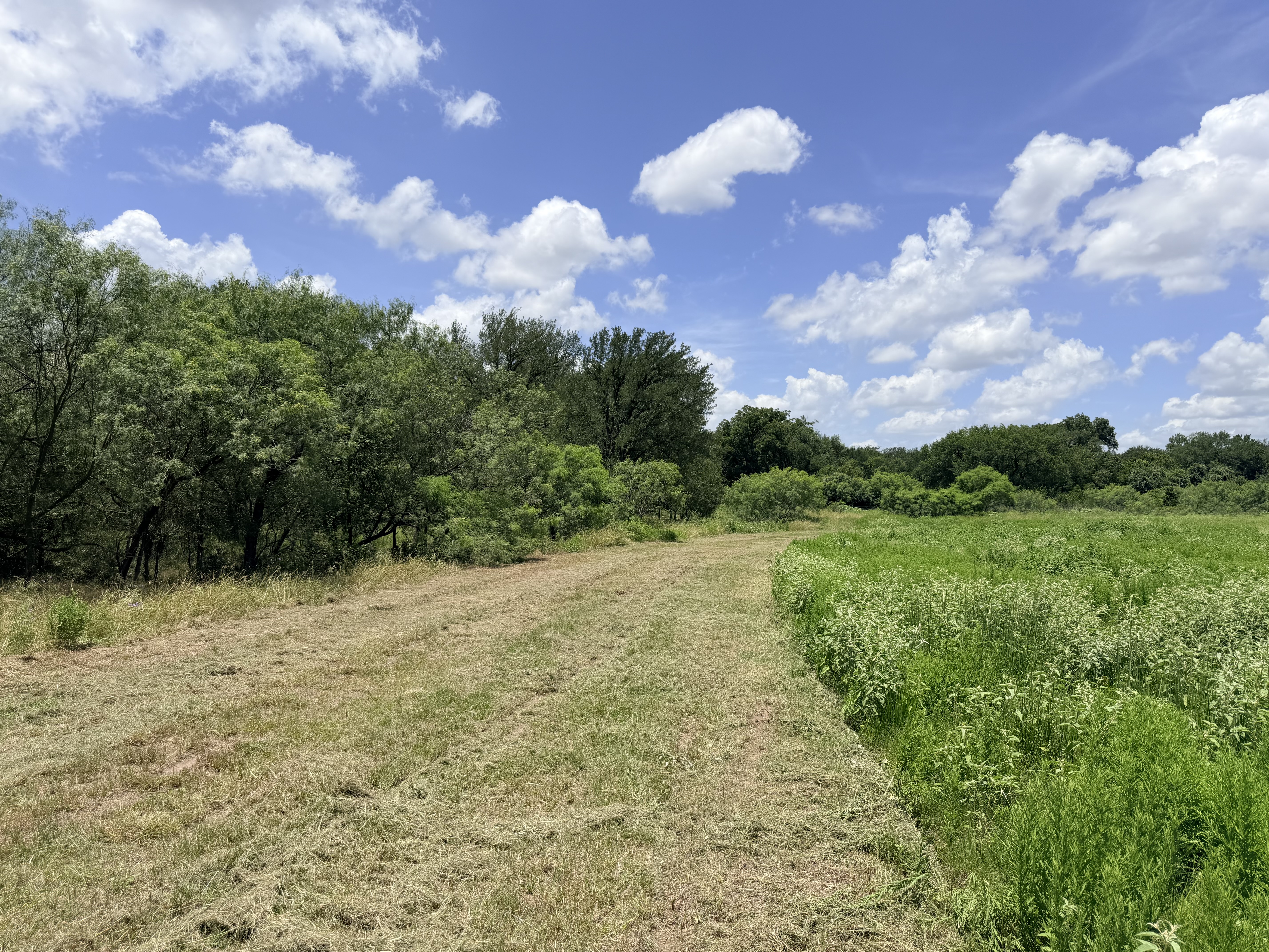 Discover a stunning piece of Central Texas landscape located in Luling, TX. This property offers over 13+ acres of land, providing the perfect blend of country living and convenience. Enjoy the serene environment, just minutes from town, while experiencing true rural tranquility. The land boasts enormous shade trees and beautiful creek bottom terrain. Its gentle, sloping topography offers pristine views of the surrounding countryside, making it an ideal spot for those seeking scenic vistas. West Plum Creek runs along the backside of the property, adding to its natural appeal. The property features FM highway frontage, ensuring easy access. Several prime building sites are ready for development, with new fencing and electricity already installed. These improvements make the land immediately usable for various purposes. Situated within 5 minutes of Luling and just 10 minutes from Lockhart, this property provides quick access to nearby towns. It is less than an hour from both Austin and San Antonio, and only about 45 minutes from the Austin International Airport and Circuit of the Americas racetrack. 
NO RESTRICTIONS
AG EXEMPT - WILDLIFE