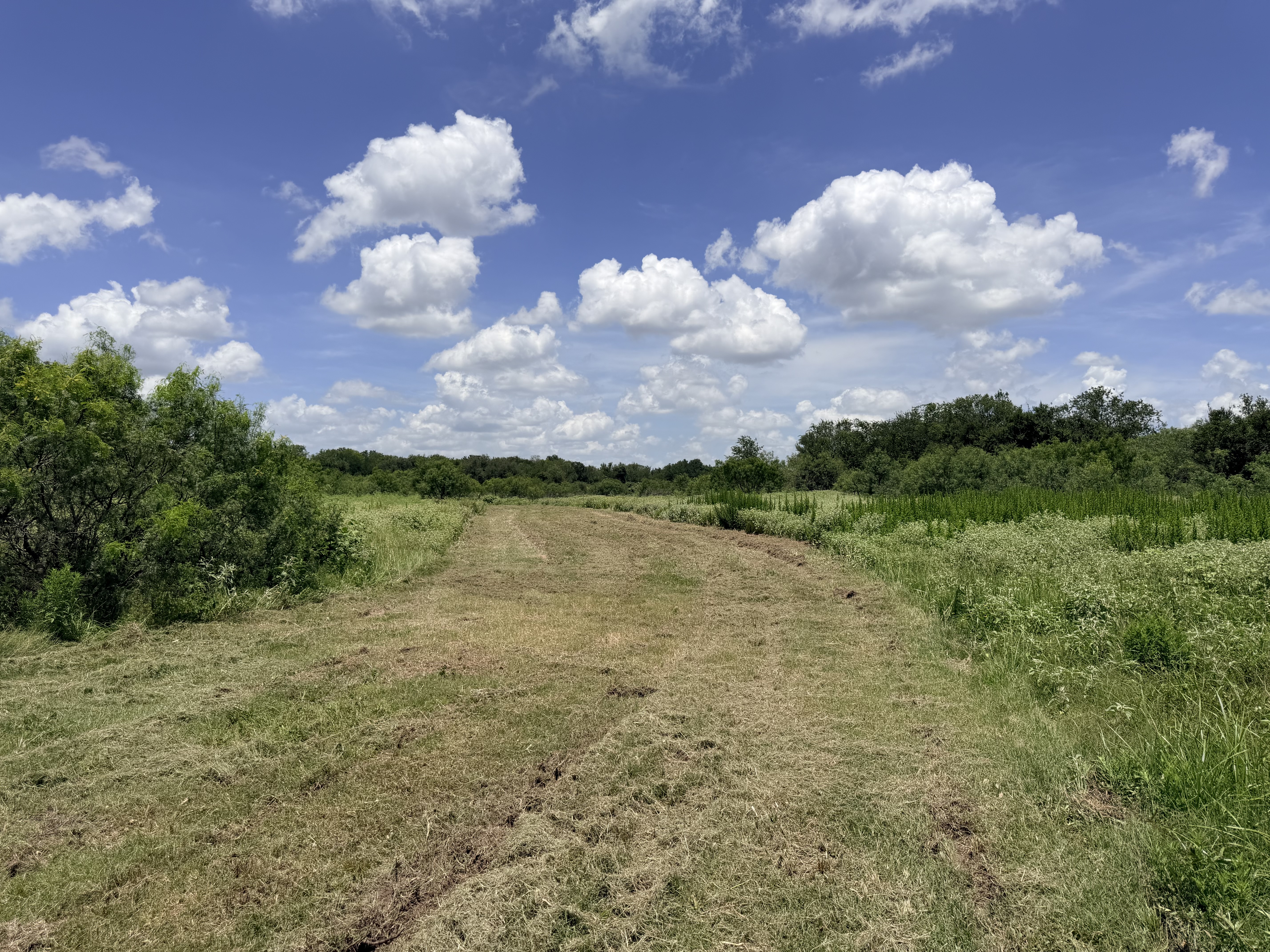 Discover a stunning piece of Central Texas landscape located in Luling, TX. This property offers over 13+ acres of land, providing the perfect blend of country living and convenience. Enjoy the serene environment, just minutes from town, while experiencing true rural tranquility. The land boasts enormous shade trees and beautiful creek bottom terrain. Its gentle, sloping topography offers pristine views of the surrounding countryside, making it an ideal spot for those seeking scenic vistas. West Plum Creek runs along the backside of the property, adding to its natural appeal. The property features FM highway frontage, ensuring easy access. Several prime building sites are ready for development, with new fencing and electricity already installed. These improvements make the land immediately usable for various purposes. Situated within 5 minutes of Luling and just 10 minutes from Lockhart, this property provides quick access to nearby towns. It is less than an hour from both Austin and San Antonio, and only about 45 minutes from the Austin International Airport and Circuit of the Americas racetrack. 
NO RESTRICTIONS
AG EXEMPT - WILDLIFE