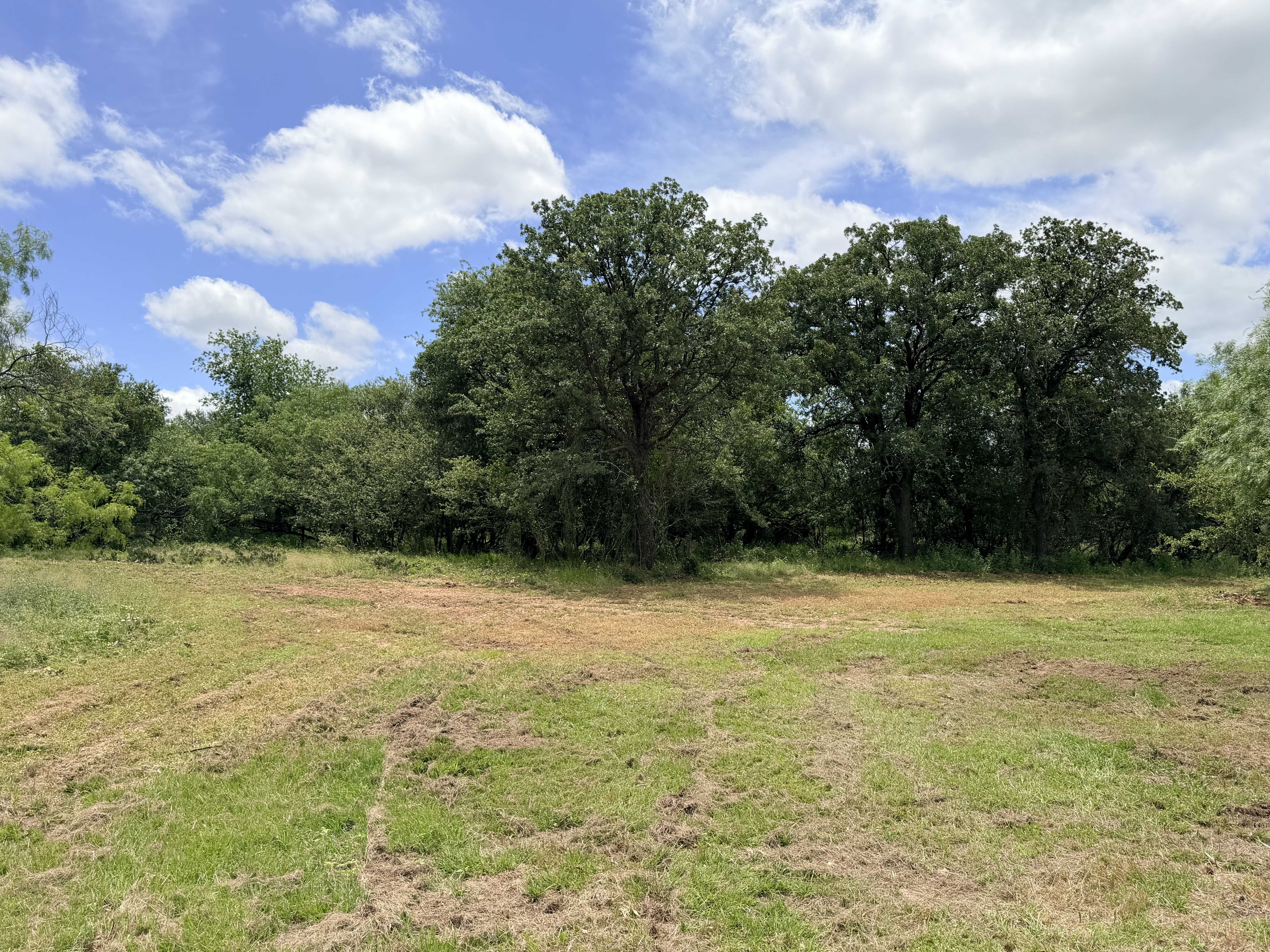 Discover a stunning piece of Central Texas landscape located in Luling, TX. This property offers over 12 acres of land, providing the perfect blend of country living and convenience. Enjoy the serene environment, just minutes from town, while experiencing true rural tranquility. The land boasts enormous shade trees and beautiful creek bottom terrain. Its gentle, sloping topography offers pristine views of the surrounding countryside, making it an ideal spot for those seeking scenic vistas. West Plum Creek runs along the backside of the property, adding to its natural appeal. The property features FM highway frontage, ensuring easy access. Several prime building sites are ready for development, with new fencing and electricity already installed. These improvements make the land immediately usable for various purposes. Situated within 5 minutes of Luling and just 10 minutes from Lockhart, this property provides quick access to nearby towns. It is less than an hour from both Austin and San Antonio, and only about 45 minutes from the Austin International Airport and Circuit of the Americas racetrack. 
NO RESTRICTIONS
AG EXEMPT - WILDLIFE