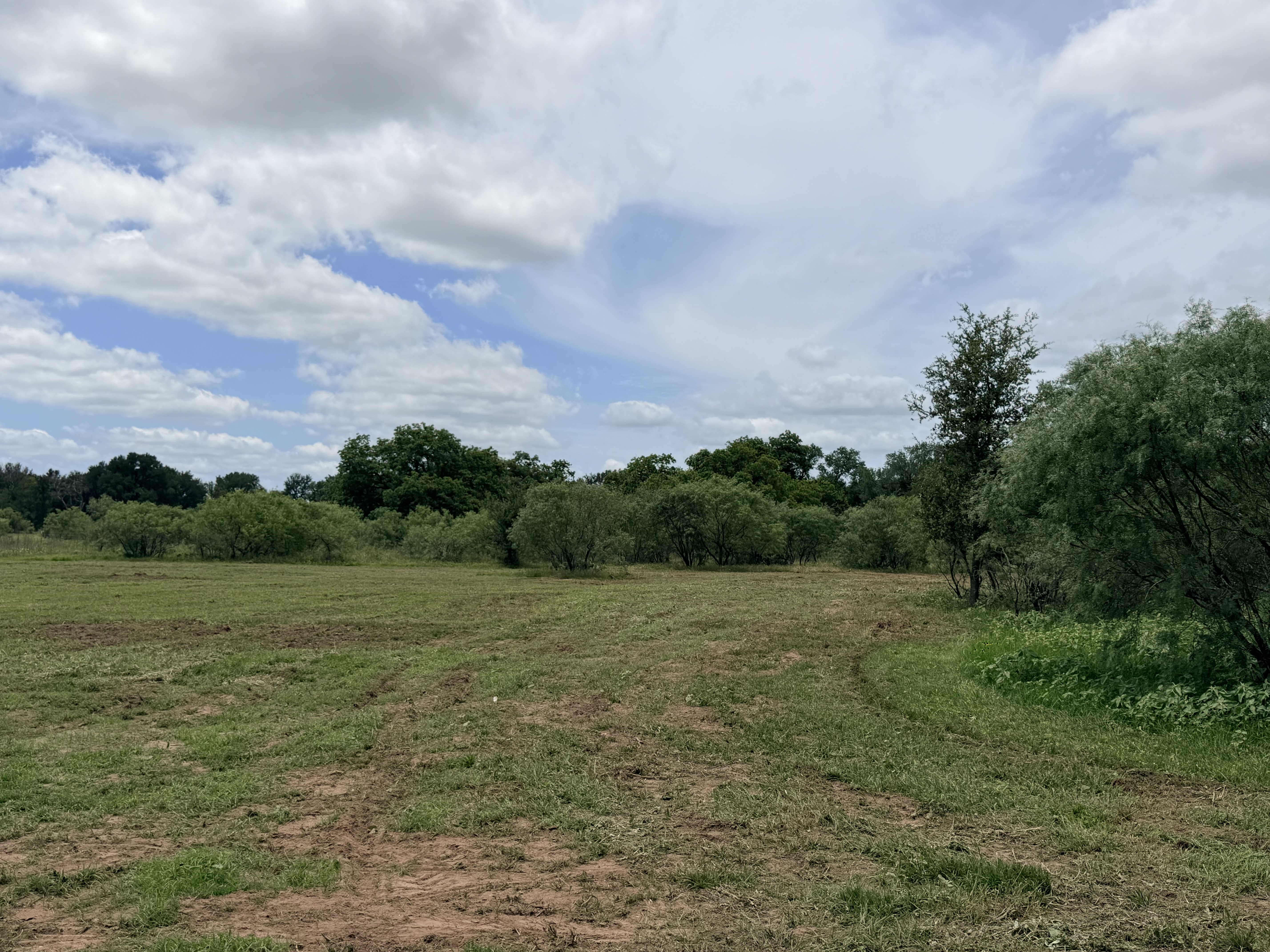 Discover a stunning piece of Central Texas landscape located in Luling, TX. This property offers over 12 acres of land, providing the perfect blend of country living and convenience. Enjoy the serene environment, just minutes from town, while experiencing true rural tranquility. The land boasts enormous shade trees and beautiful creek bottom terrain. Its gentle, sloping topography offers pristine views of the surrounding countryside, making it an ideal spot for those seeking scenic vistas. West Plum Creek runs along the backside of the property, adding to its natural appeal. The property features FM highway frontage, ensuring easy access. Several prime building sites are ready for development, with new fencing and electricity already installed. These improvements make the land immediately usable for various purposes. Situated within 5 minutes of Luling and just 10 minutes from Lockhart, this property provides quick access to nearby towns. It is less than an hour from both Austin and San Antonio, and only about 45 minutes from the Austin International Airport and Circuit of the Americas racetrack. 
NO RESTRICTIONS
AG EXEMPT - WILDLIFE