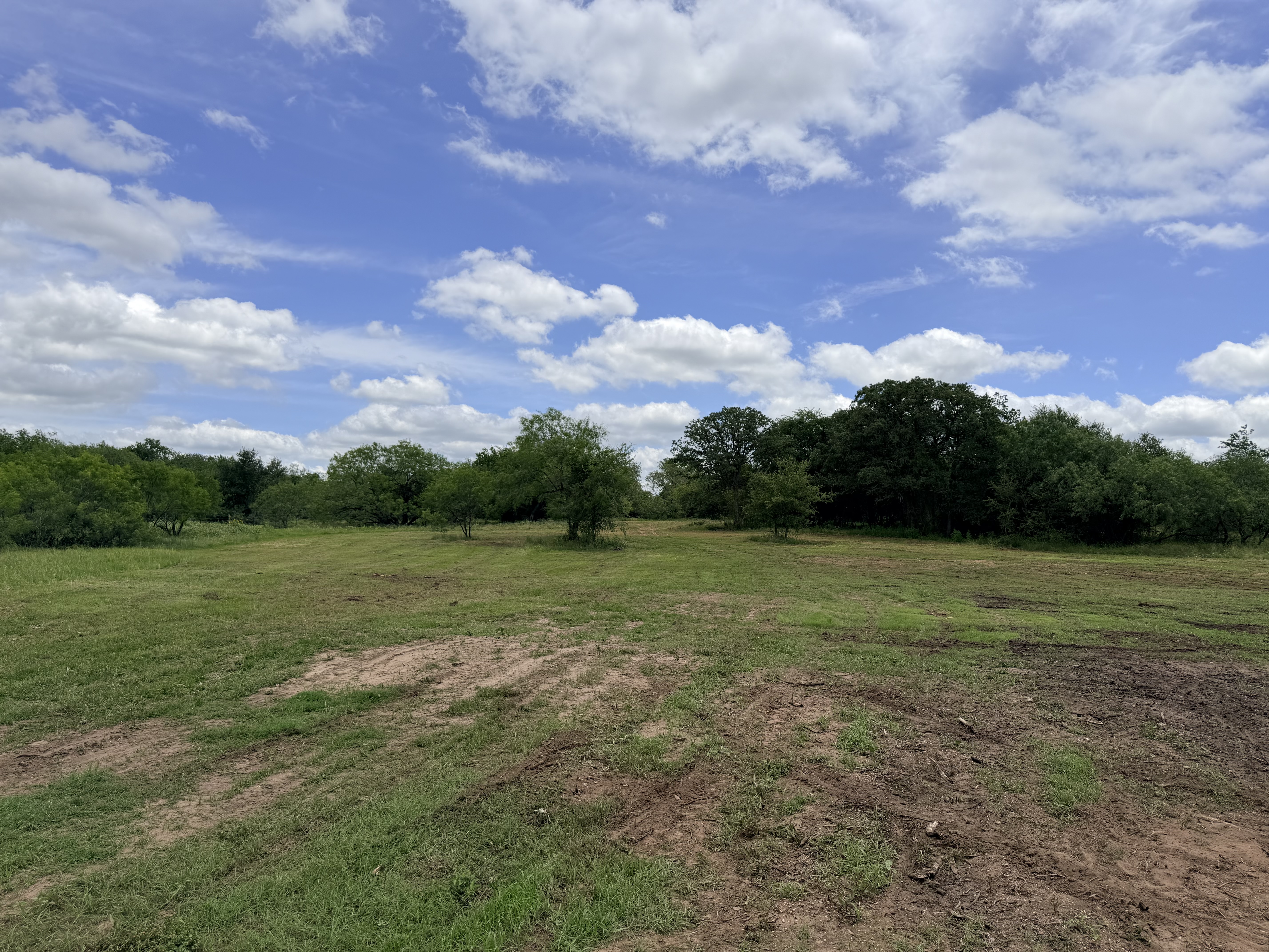 Discover a stunning piece of Central Texas landscape located in Luling, TX. This property offers over 12 acres of land, providing the perfect blend of country living and convenience. Enjoy the serene environment, just minutes from town, while experiencing true rural tranquility. The land boasts enormous shade trees and beautiful creek bottom terrain. Its gentle, sloping topography offers pristine views of the surrounding countryside, making it an ideal spot for those seeking scenic vistas. West Plum Creek runs along the backside of the property, adding to its natural appeal. The property features FM highway frontage, ensuring easy access. Several prime building sites are ready for development, with new fencing and electricity already installed. These improvements make the land immediately usable for various purposes. Situated within 5 minutes of Luling and just 10 minutes from Lockhart, this property provides quick access to nearby towns. It is less than an hour from both Austin and San Antonio, and only about 45 minutes from the Austin International Airport and Circuit of the Americas racetrack. 
NO RESTRICTIONS
AG EXEMPT - WILDLIFE