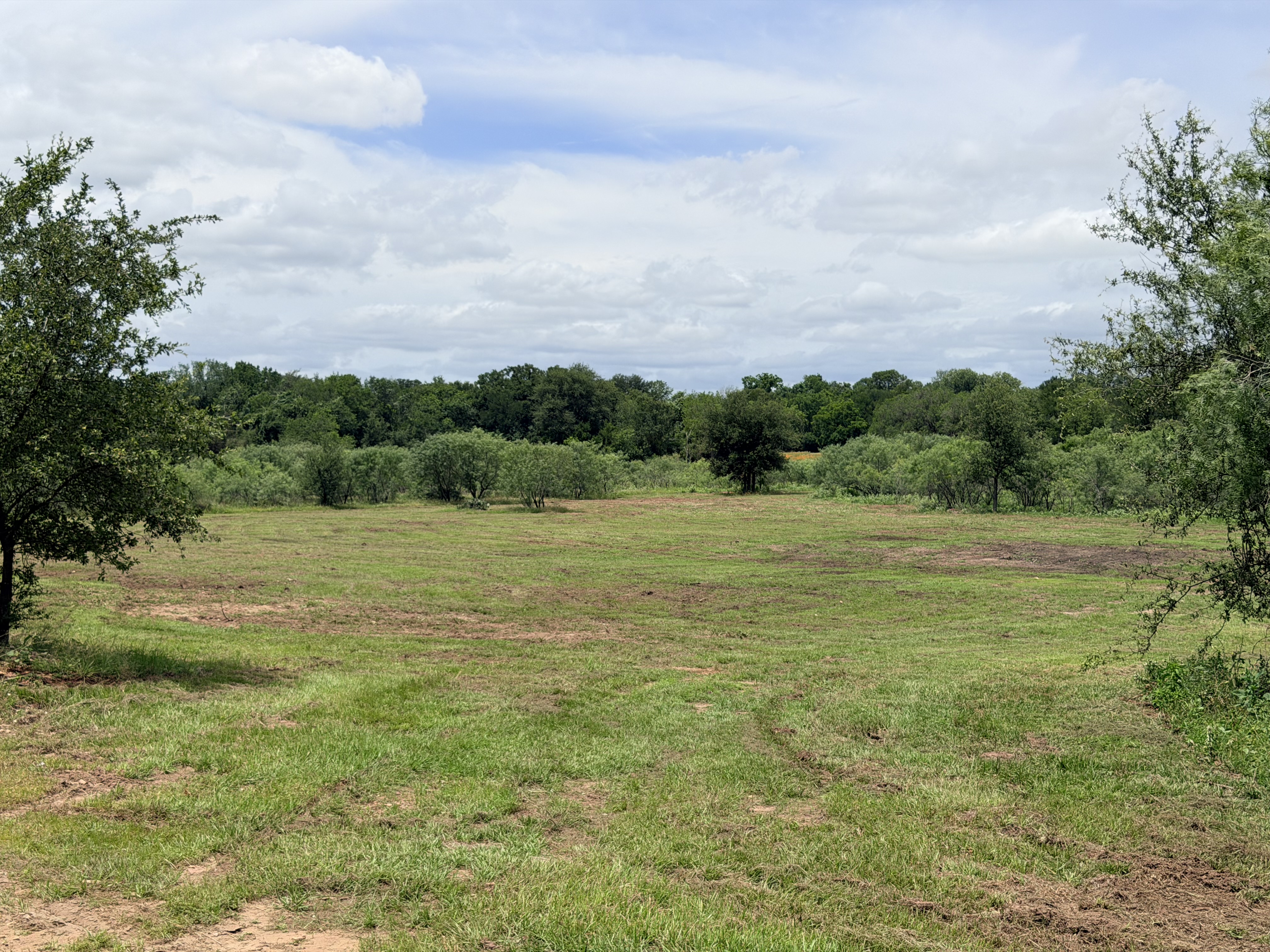 Discover a stunning piece of Central Texas landscape located in Luling, TX. This property offers over 12 acres of land, providing the perfect blend of country living and convenience. Enjoy the serene environment, just minutes from town, while experiencing true rural tranquility. The land boasts enormous shade trees and beautiful creek bottom terrain. Its gentle, sloping topography offers pristine views of the surrounding countryside, making it an ideal spot for those seeking scenic vistas. West Plum Creek runs along the backside of the property, adding to its natural appeal. The property features FM highway frontage, ensuring easy access. Several prime building sites are ready for development, with new fencing and electricity already installed. These improvements make the land immediately usable for various purposes. Situated within 5 minutes of Luling and just 10 minutes from Lockhart, this property provides quick access to nearby towns. It is less than an hour from both Austin and San Antonio, and only about 45 minutes from the Austin International Airport and Circuit of the Americas racetrack. 
NO RESTRICTIONS
AG EXEMPT - WILDLIFE