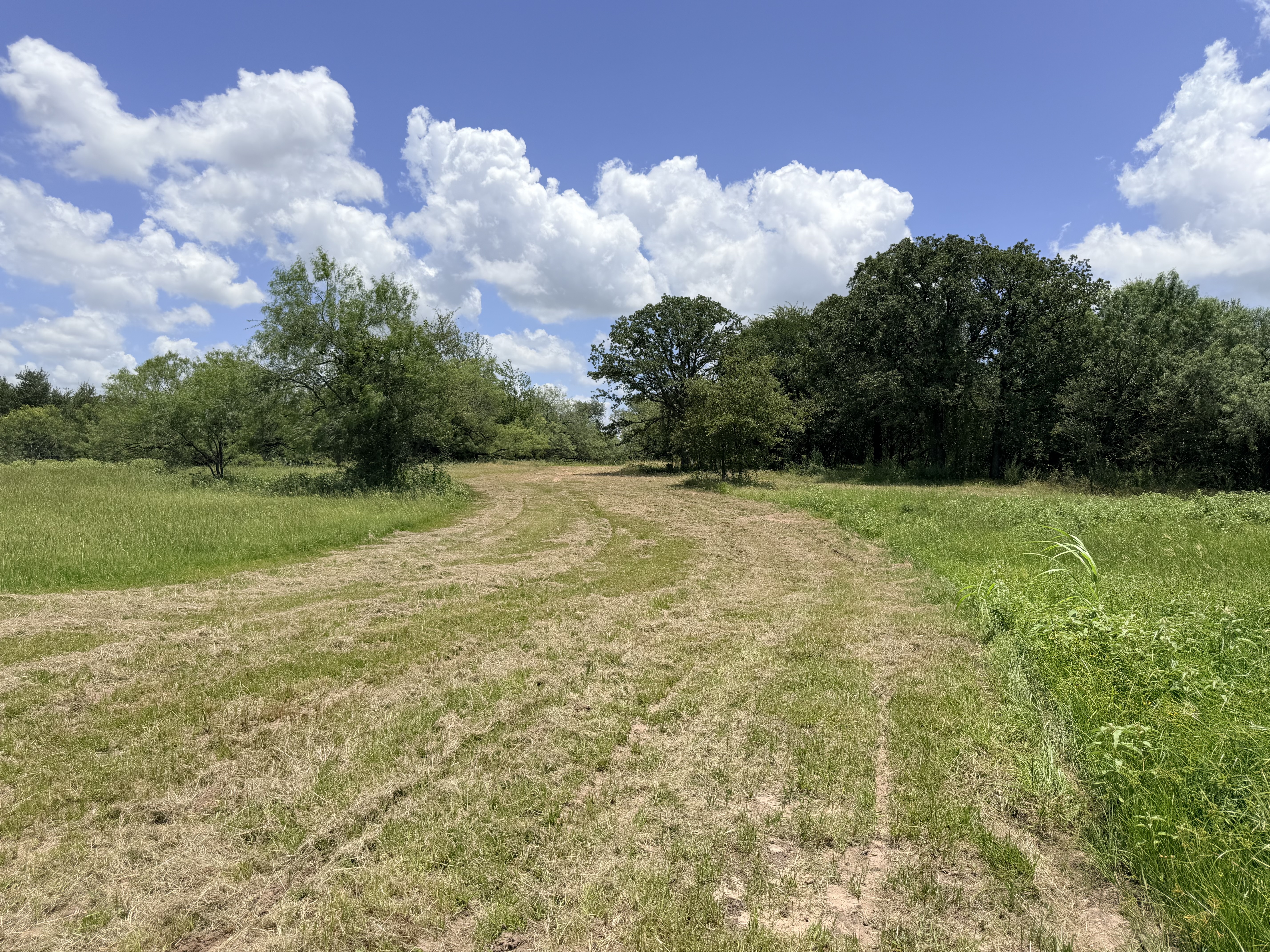 Discover a stunning piece of Central Texas landscape located in Luling, TX. This property offers over 12 acres of land, providing the perfect blend of country living and convenience. Enjoy the serene environment, just minutes from town, while experiencing true rural tranquility. The land boasts enormous shade trees and beautiful creek bottom terrain. Its gentle, sloping topography offers pristine views of the surrounding countryside, making it an ideal spot for those seeking scenic vistas. West Plum Creek runs along the backside of the property, adding to its natural appeal. The property features FM highway frontage, ensuring easy access. Several prime building sites are ready for development, with new fencing and electricity already installed. These improvements make the land immediately usable for various purposes. Situated within 5 minutes of Luling and just 10 minutes from Lockhart, this property provides quick access to nearby towns. It is less than an hour from both Austin and San Antonio, and only about 45 minutes from the Austin International Airport and Circuit of the Americas racetrack. 
NO RESTRICTIONS
AG EXEMPT - WILDLIFE