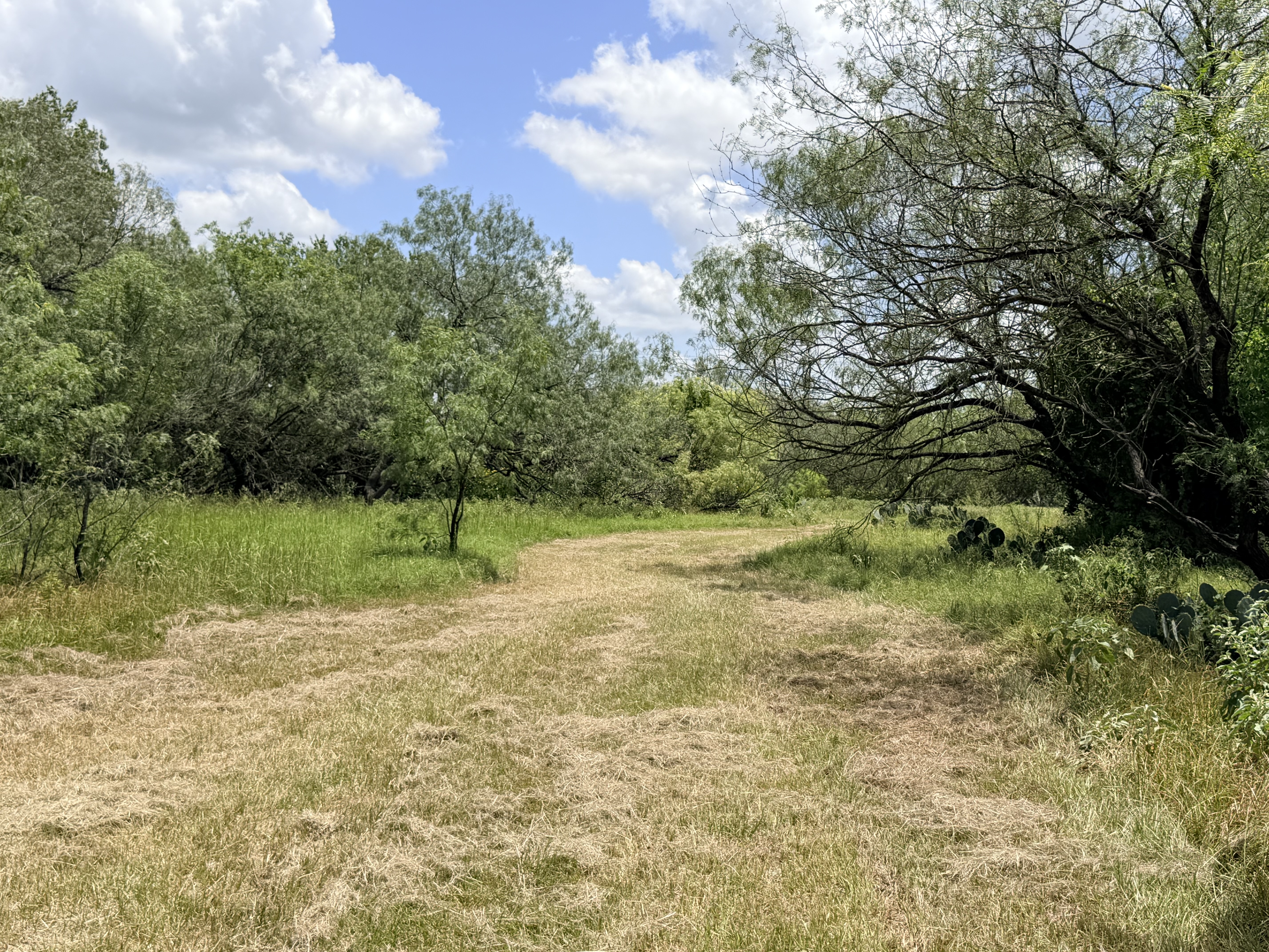 Discover a stunning piece of Central Texas landscape located in Luling, TX. This property offers over 12 acres of land, providing the perfect blend of country living and convenience. Enjoy the serene environment, just minutes from town, while experiencing true rural tranquility. The land boasts enormous shade trees and beautiful creek bottom terrain. Its gentle, sloping topography offers pristine views of the surrounding countryside, making it an ideal spot for those seeking scenic vistas. West Plum Creek runs along the backside of the property, adding to its natural appeal. The property features FM highway frontage, ensuring easy access. Several prime building sites are ready for development, with new fencing and electricity already installed. These improvements make the land immediately usable for various purposes. Situated within 5 minutes of Luling and just 10 minutes from Lockhart, this property provides quick access to nearby towns. It is less than an hour from both Austin and San Antonio, and only about 45 minutes from the Austin International Airport and Circuit of the Americas racetrack. 
NO RESTRICTIONS
AG EXEMPT - WILDLIFE