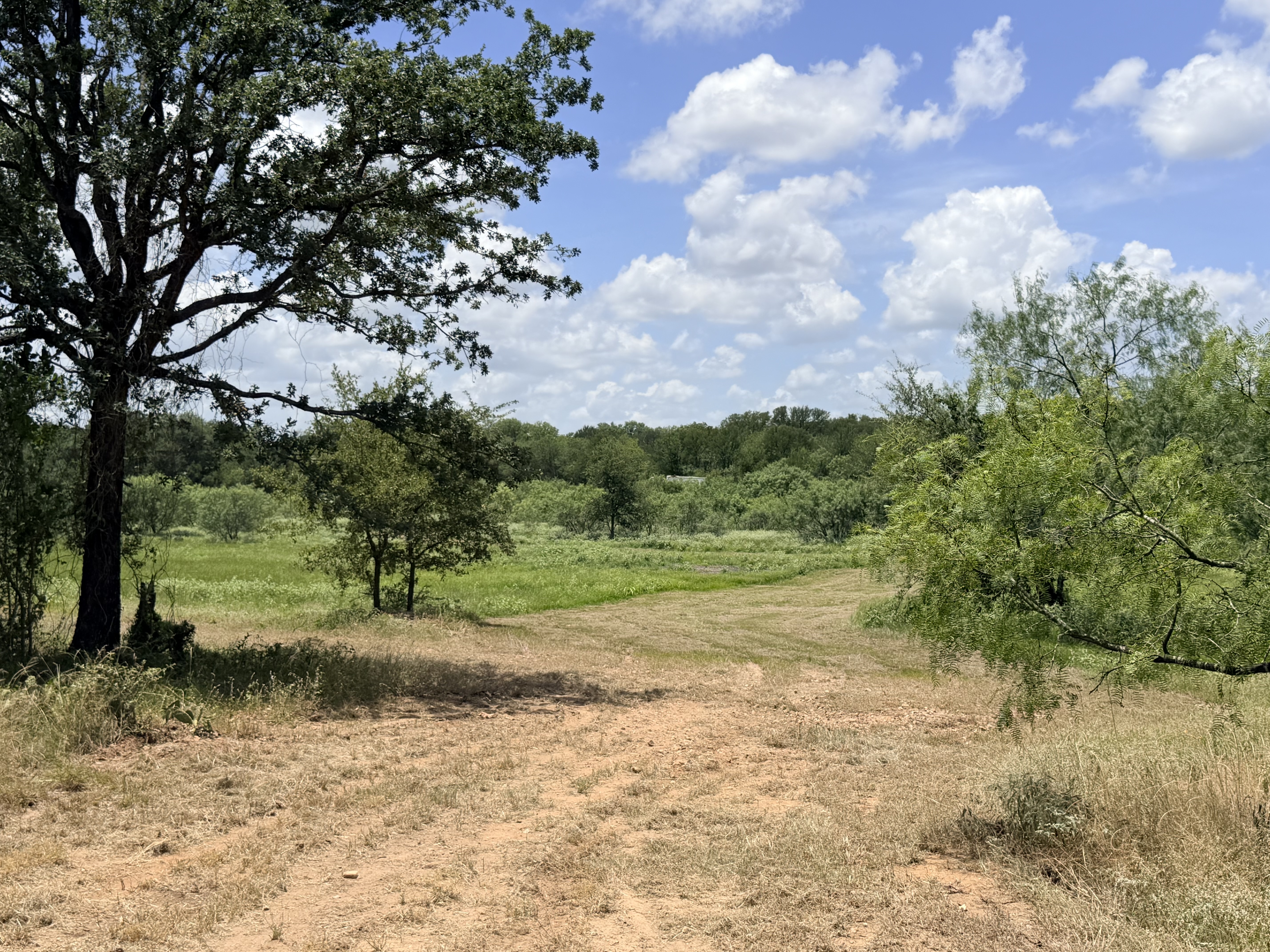 Discover a stunning piece of Central Texas landscape located in Luling, TX. This property offers over 12 acres of land, providing the perfect blend of country living and convenience. Enjoy the serene environment, just minutes from town, while experiencing true rural tranquility. The land boasts enormous shade trees and beautiful creek bottom terrain. Its gentle, sloping topography offers pristine views of the surrounding countryside, making it an ideal spot for those seeking scenic vistas. West Plum Creek runs along the backside of the property, adding to its natural appeal. The property features FM highway frontage, ensuring easy access. Several prime building sites are ready for development, with new fencing and electricity already installed. These improvements make the land immediately usable for various purposes. Situated within 5 minutes of Luling and just 10 minutes from Lockhart, this property provides quick access to nearby towns. It is less than an hour from both Austin and San Antonio, and only about 45 minutes from the Austin International Airport and Circuit of the Americas racetrack. 
NO RESTRICTIONS
AG EXEMPT - WILDLIFE