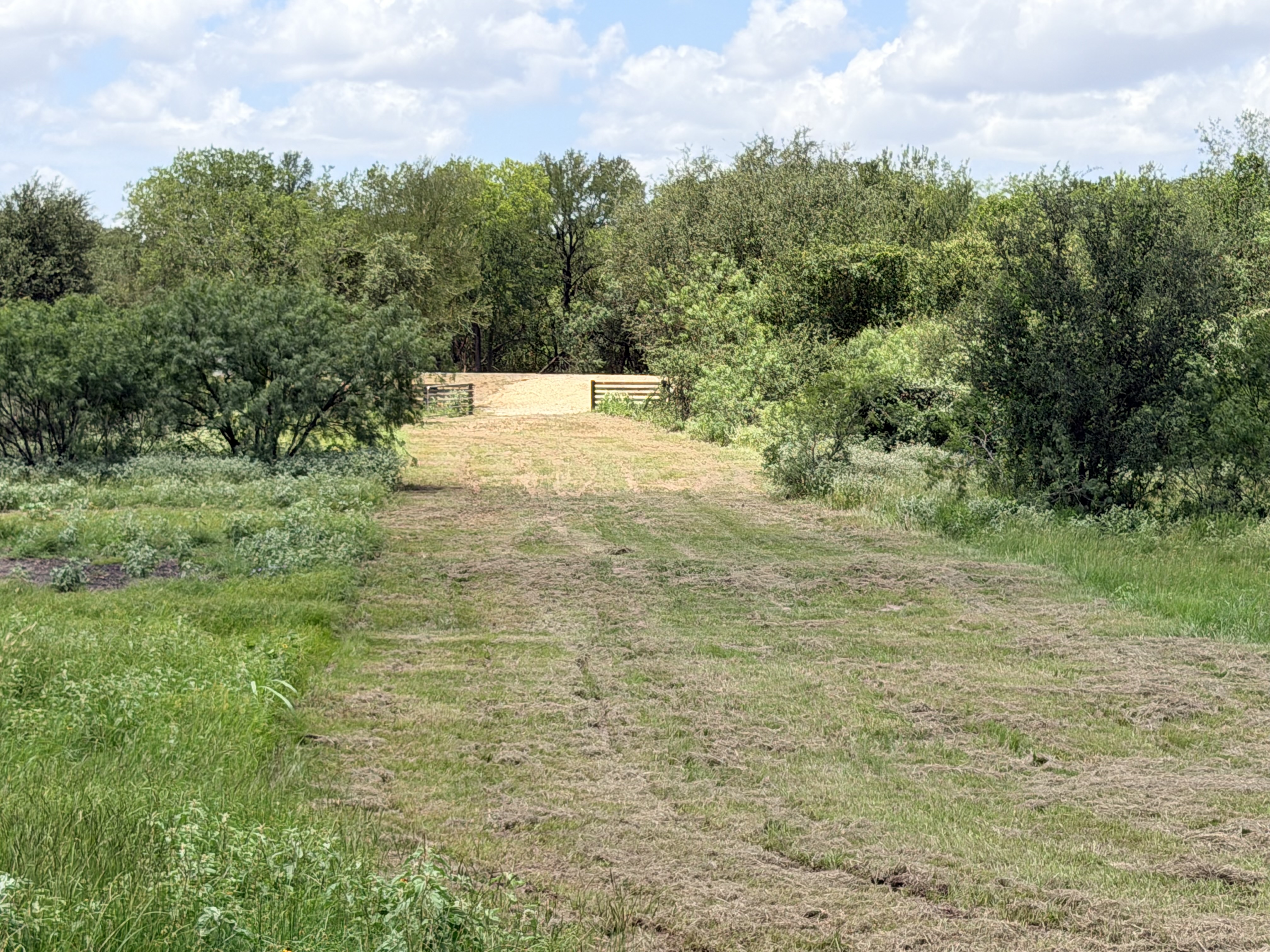 Discover a stunning piece of Central Texas landscape located in Luling, TX. This property offers over 12 acres of land, providing the perfect blend of country living and convenience. Enjoy the serene environment, just minutes from town, while experiencing true rural tranquility. The land boasts enormous shade trees and beautiful creek bottom terrain. Its gentle, sloping topography offers pristine views of the surrounding countryside, making it an ideal spot for those seeking scenic vistas. West Plum Creek runs along the backside of the property, adding to its natural appeal. The property features FM highway frontage, ensuring easy access. Several prime building sites are ready for development, with new fencing and electricity already installed. These improvements make the land immediately usable for various purposes. Situated within 5 minutes of Luling and just 10 minutes from Lockhart, this property provides quick access to nearby towns. It is less than an hour from both Austin and San Antonio, and only about 45 minutes from the Austin International Airport and Circuit of the Americas racetrack. 
NO RESTRICTIONS
AG EXEMPT - WILDLIFE