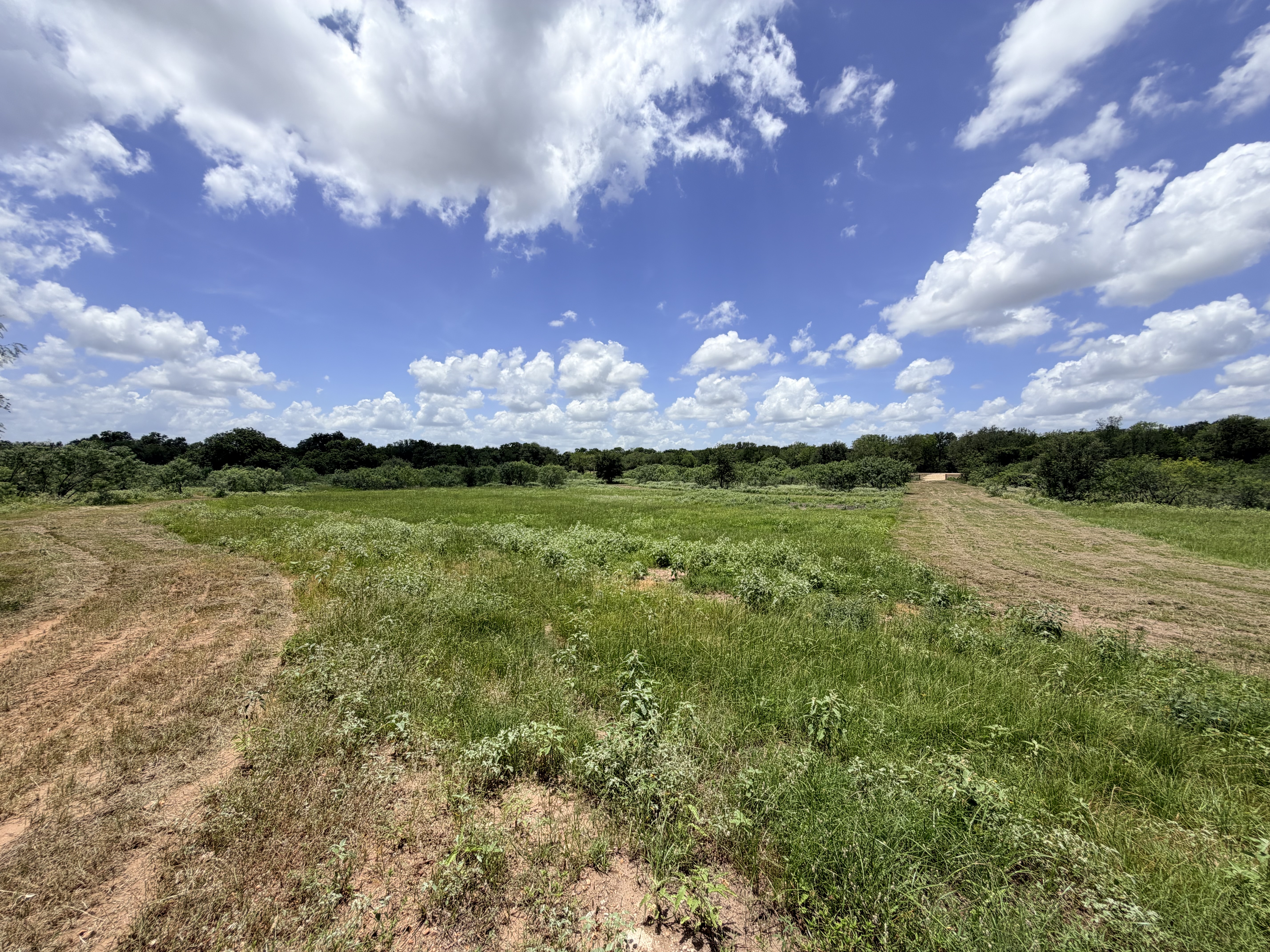 Discover a stunning piece of Central Texas landscape located in Luling, TX. This property offers over 12 acres of land, providing the perfect blend of country living and convenience. Enjoy the serene environment, just minutes from town, while experiencing true rural tranquility. The land boasts enormous shade trees and beautiful creek bottom terrain. Its gentle, sloping topography offers pristine views of the surrounding countryside, making it an ideal spot for those seeking scenic vistas. West Plum Creek runs along the backside of the property, adding to its natural appeal. The property features FM highway frontage, ensuring easy access. Several prime building sites are ready for development, with new fencing and electricity already installed. These improvements make the land immediately usable for various purposes. Situated within 5 minutes of Luling and just 10 minutes from Lockhart, this property provides quick access to nearby towns. It is less than an hour from both Austin and San Antonio, and only about 45 minutes from the Austin International Airport and Circuit of the Americas racetrack. 
NO RESTRICTIONS
AG EXEMPT - WILDLIFE