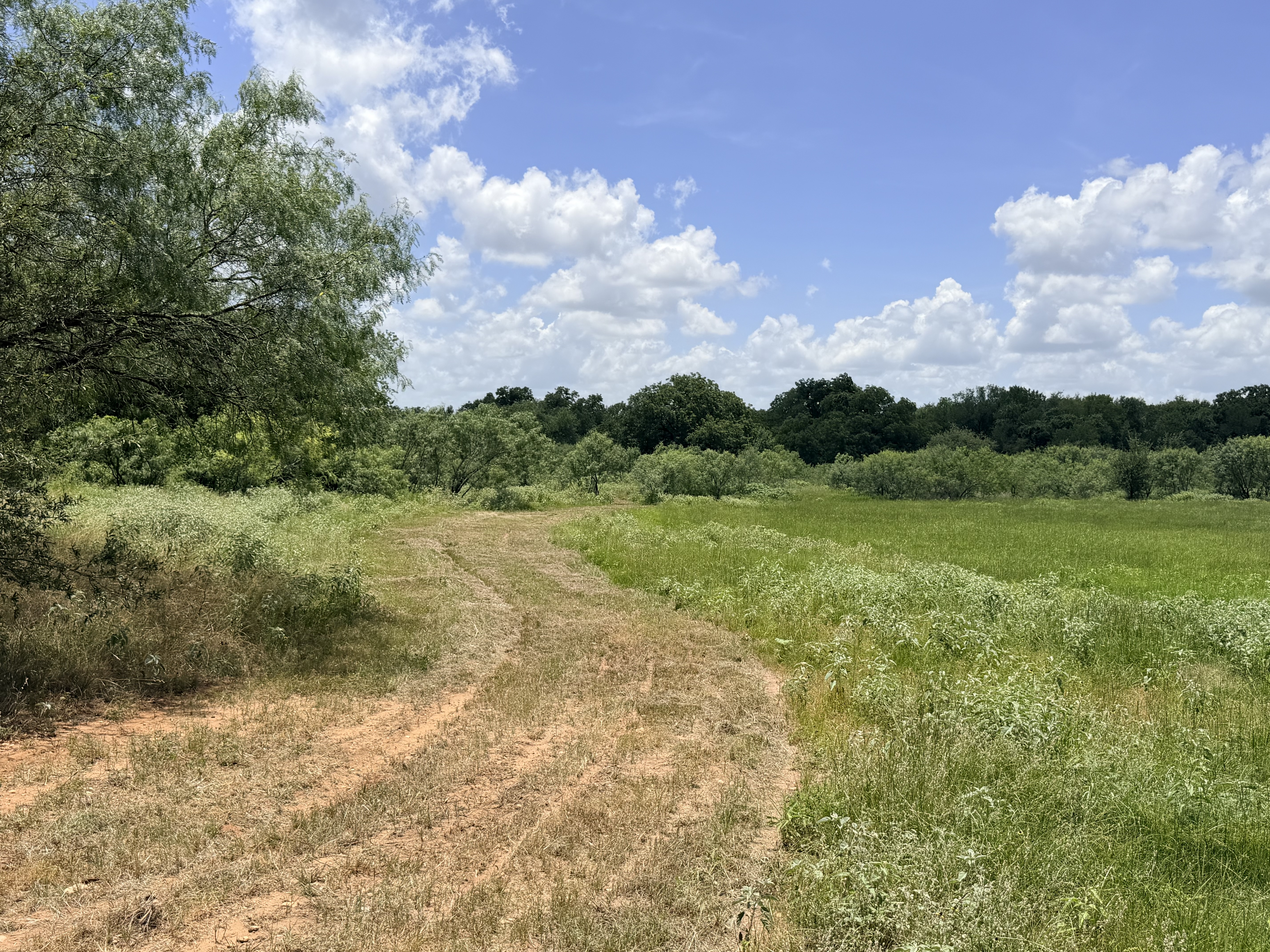 Discover a stunning piece of Central Texas landscape located in Luling, TX. This property offers over 12 acres of land, providing the perfect blend of country living and convenience. Enjoy the serene environment, just minutes from town, while experiencing true rural tranquility. The land boasts enormous shade trees and beautiful creek bottom terrain. Its gentle, sloping topography offers pristine views of the surrounding countryside, making it an ideal spot for those seeking scenic vistas. West Plum Creek runs along the backside of the property, adding to its natural appeal. The property features FM highway frontage, ensuring easy access. Several prime building sites are ready for development, with new fencing and electricity already installed. These improvements make the land immediately usable for various purposes. Situated within 5 minutes of Luling and just 10 minutes from Lockhart, this property provides quick access to nearby towns. It is less than an hour from both Austin and San Antonio, and only about 45 minutes from the Austin International Airport and Circuit of the Americas racetrack. 
NO RESTRICTIONS
AG EXEMPT - WILDLIFE