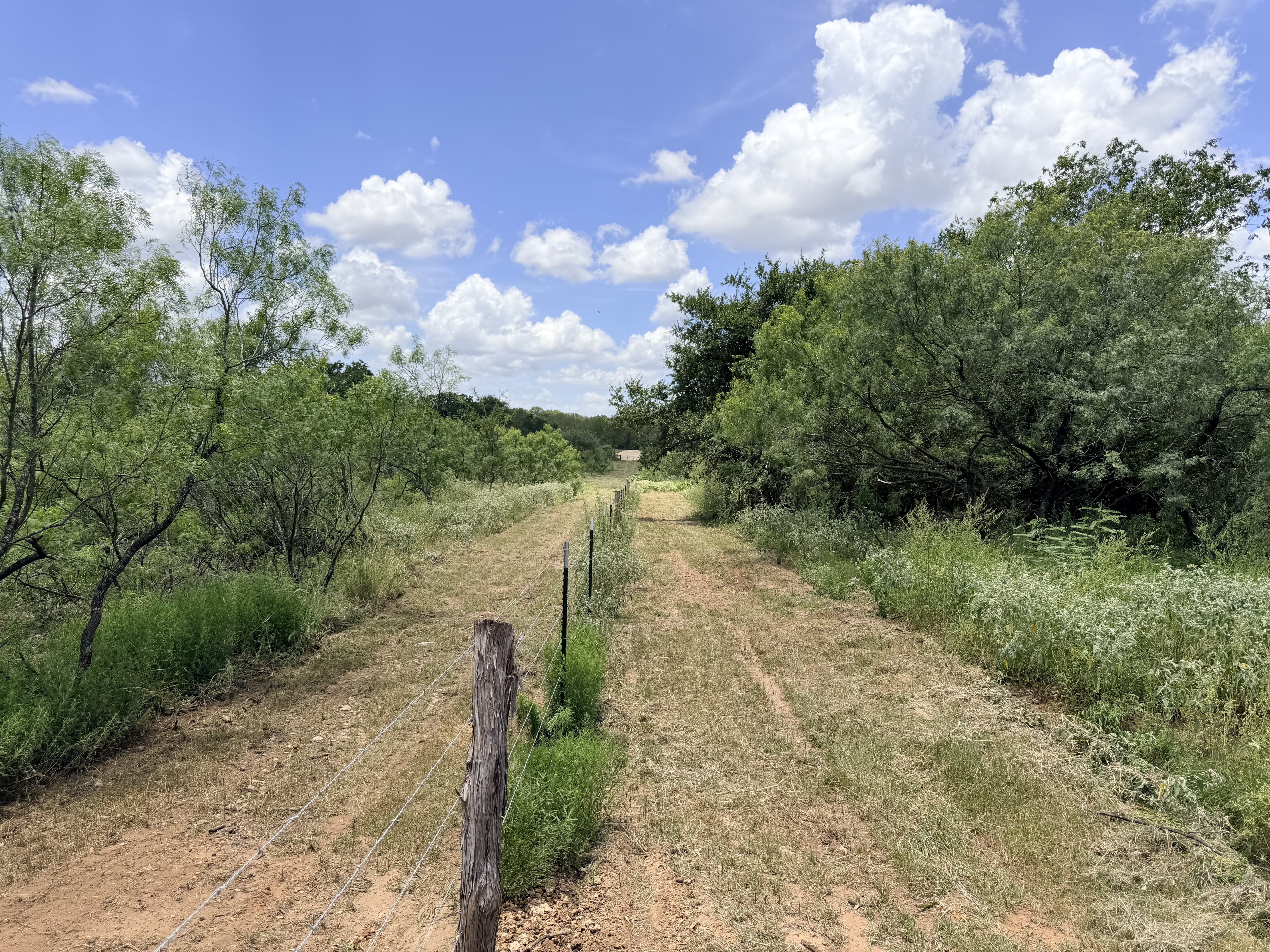 Discover a stunning piece of Central Texas landscape located in Luling, TX. This property offers over 12 acres of land, providing the perfect blend of country living and convenience. Enjoy the serene environment, just minutes from town, while experiencing true rural tranquility. The land boasts enormous shade trees and beautiful creek bottom terrain. Its gentle, sloping topography offers pristine views of the surrounding countryside, making it an ideal spot for those seeking scenic vistas. West Plum Creek runs along the backside of the property, adding to its natural appeal. The property features FM highway frontage, ensuring easy access. Several prime building sites are ready for development, with new fencing and electricity already installed. These improvements make the land immediately usable for various purposes. Situated within 5 minutes of Luling and just 10 minutes from Lockhart, this property provides quick access to nearby towns. It is less than an hour from both Austin and San Antonio, and only about 45 minutes from the Austin International Airport and Circuit of the Americas racetrack. 
NO RESTRICTIONS
AG EXEMPT - WILDLIFE