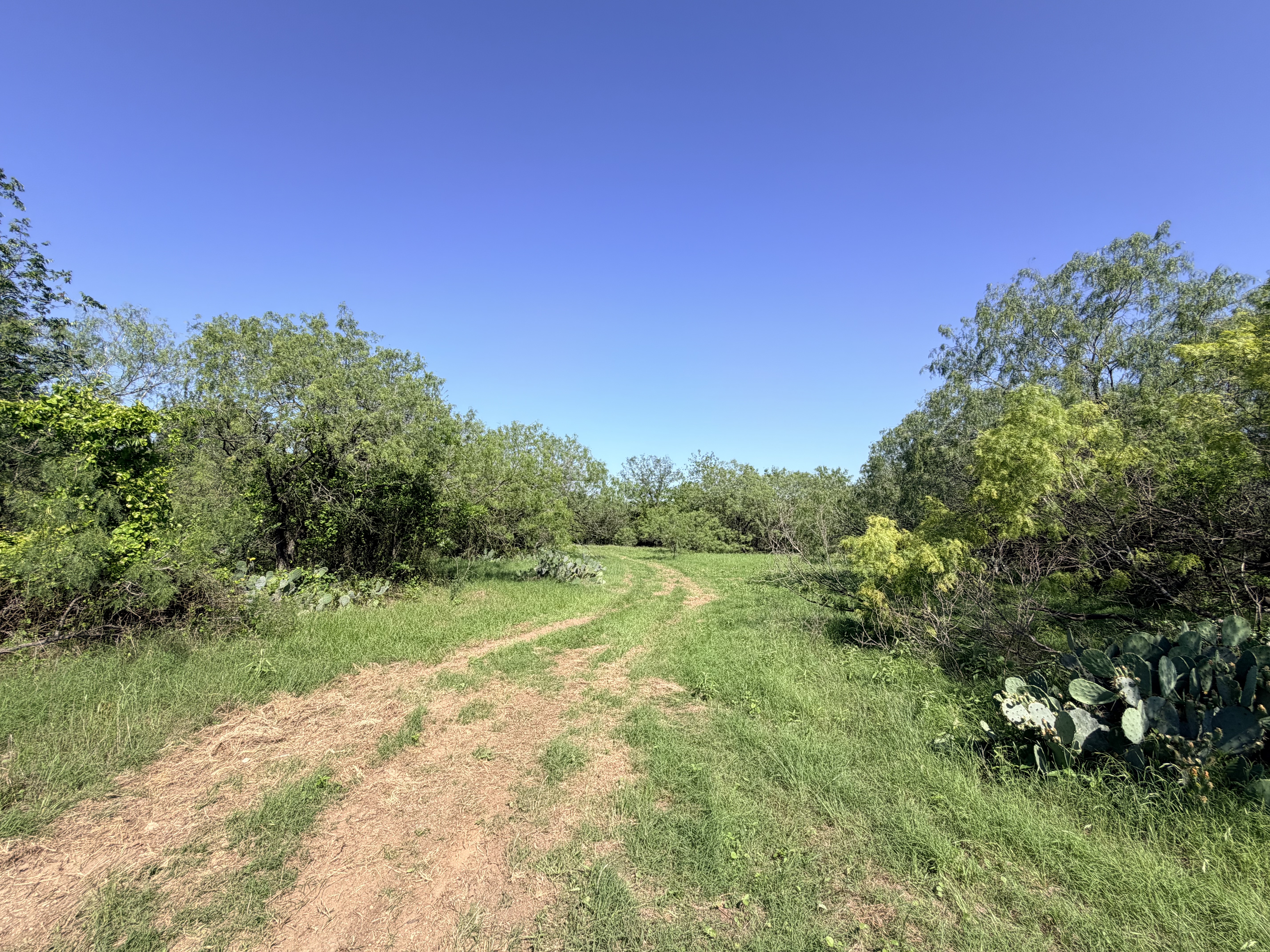 Discover a stunning piece of Central Texas landscape located in Luling, TX. This property offers over 12 acres of land, providing the perfect blend of country living and convenience. Enjoy the serene environment, just minutes from town, while experiencing true rural tranquility. The land boasts enormous shade trees and beautiful creek bottom terrain. Its gentle, sloping topography offers pristine views of the surrounding countryside, making it an ideal spot for those seeking scenic vistas. West Plum Creek runs along the backside of the property, adding to its natural appeal. The property features FM highway frontage, ensuring easy access. Several prime building sites are ready for development, with new fencing and electricity already installed. These improvements make the land immediately usable for various purposes. Situated within 5 minutes of Luling and just 10 minutes from Lockhart, this property provides quick access to nearby towns. It is less than an hour from both Austin and San Antonio, and only about 45 minutes from the Austin International Airport and Circuit of the Americas racetrack. 
NO RESTRICTIONS
AG EXEMPT - WILDLIFE