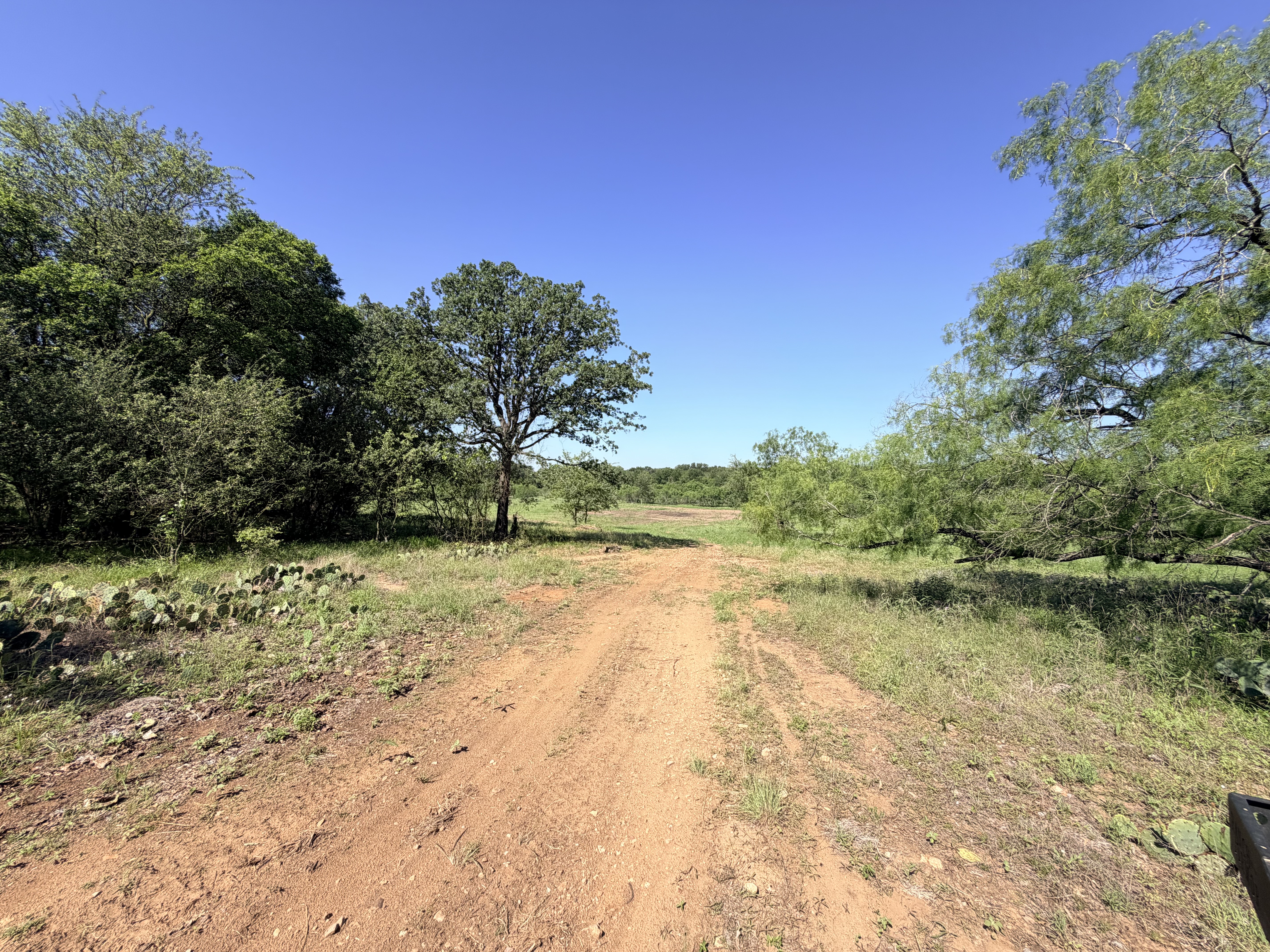 Discover a stunning piece of Central Texas landscape located in Luling, TX. This property offers over 12 acres of land, providing the perfect blend of country living and convenience. Enjoy the serene environment, just minutes from town, while experiencing true rural tranquility. The land boasts enormous shade trees and beautiful creek bottom terrain. Its gentle, sloping topography offers pristine views of the surrounding countryside, making it an ideal spot for those seeking scenic vistas. West Plum Creek runs along the backside of the property, adding to its natural appeal. The property features FM highway frontage, ensuring easy access. Several prime building sites are ready for development, with new fencing and electricity already installed. These improvements make the land immediately usable for various purposes. Situated within 5 minutes of Luling and just 10 minutes from Lockhart, this property provides quick access to nearby towns. It is less than an hour from both Austin and San Antonio, and only about 45 minutes from the Austin International Airport and Circuit of the Americas racetrack. 
NO RESTRICTIONS
AG EXEMPT - WILDLIFE
