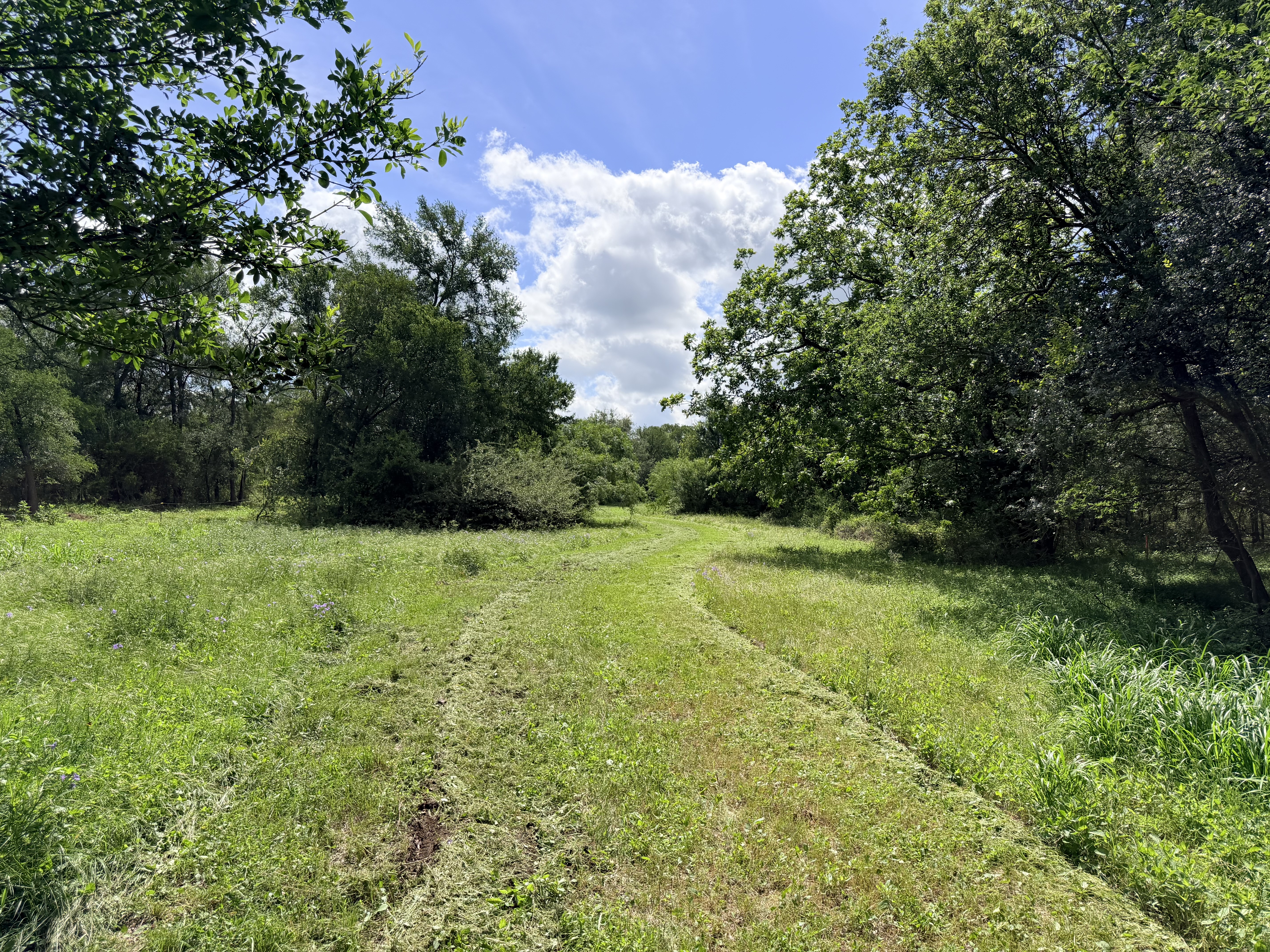 Discover a stunning piece of Central Texas landscape located in Luling, TX. This property offers over 12 acres of land, providing the perfect blend of country living and convenience. Enjoy the serene environment, just minutes from town, while experiencing true rural tranquility. The land boasts enormous shade trees and beautiful creek bottom terrain. Its gentle, sloping topography offers pristine views of the surrounding countryside, making it an ideal spot for those seeking scenic vistas. West Plum Creek runs along the backside of the property, adding to its natural appeal. The property features FM highway frontage, ensuring easy access. Several prime building sites are ready for development, with new fencing and electricity already installed. These improvements make the land immediately usable for various purposes. Situated within 5 minutes of Luling and just 10 minutes from Lockhart, this property provides quick access to nearby towns. It is less than an hour from both Austin and San Antonio, and only about 45 minutes from the Austin International Airport and Circuit of the Americas racetrack. 
NO RESTRICTIONS
AG EXEMPT - WILDLIFE