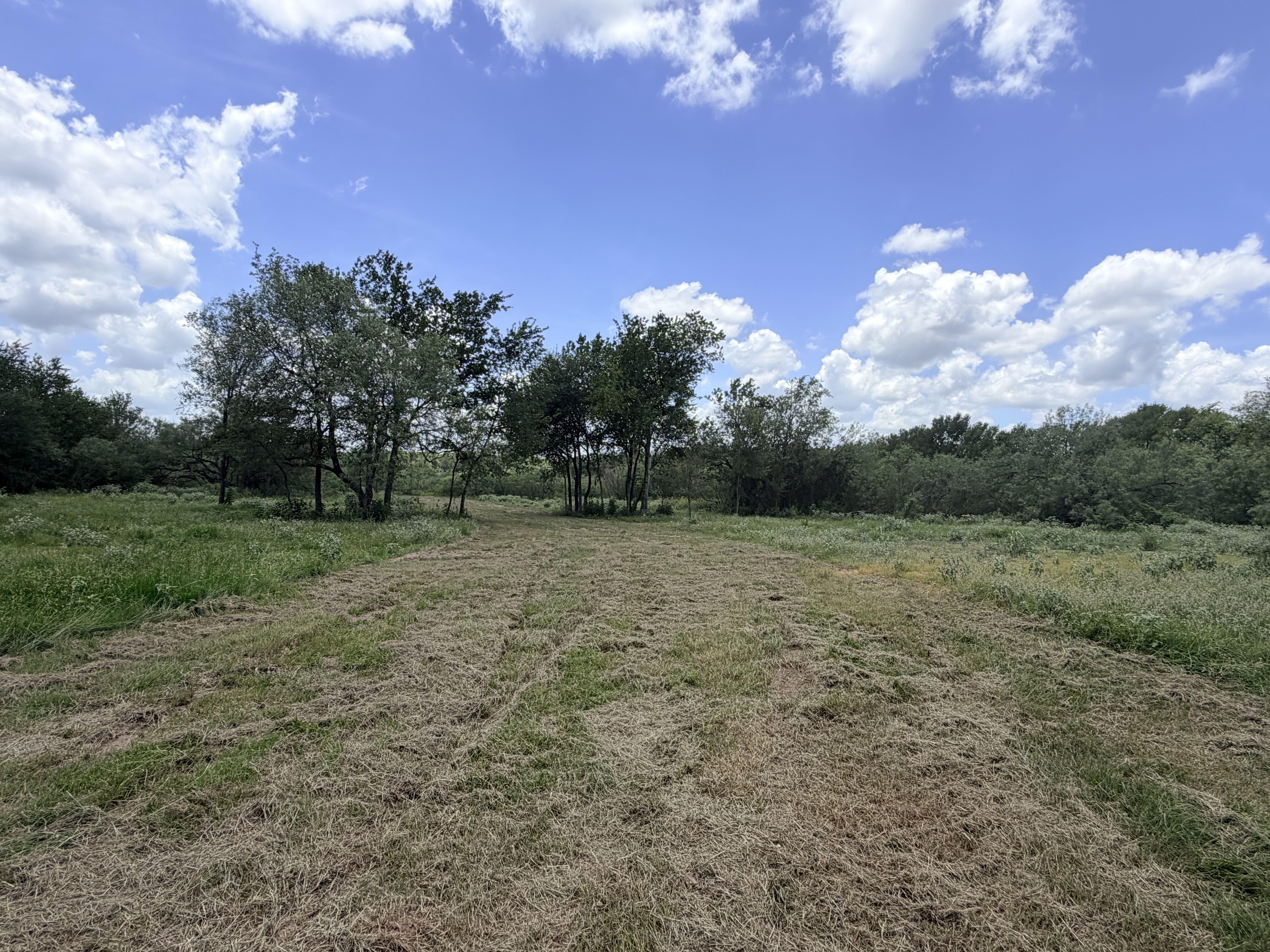 Discover a stunning piece of Central Texas landscape located in Luling, TX. This property offers over 12 acres of land, providing the perfect blend of country living and convenience. Enjoy the serene environment, just minutes from town, while experiencing true rural tranquility. The land boasts enormous shade trees and beautiful creek bottom terrain. Its gentle, sloping topography offers pristine views of the surrounding countryside, making it an ideal spot for those seeking scenic vistas. West Plum Creek runs along the backside of the property, adding to its natural appeal. The property features FM highway frontage, ensuring easy access. Several prime building sites are ready for development, with new fencing and electricity already installed. These improvements make the land immediately usable for various purposes. Situated within 5 minutes of Luling and just 10 minutes from Lockhart, this property provides quick access to nearby towns. It is less than an hour from both Austin and San Antonio, and only about 45 minutes from the Austin International Airport and Circuit of the Americas racetrack. 
NO RESTRICTIONS
AG EXEMPT - WILDLIFE