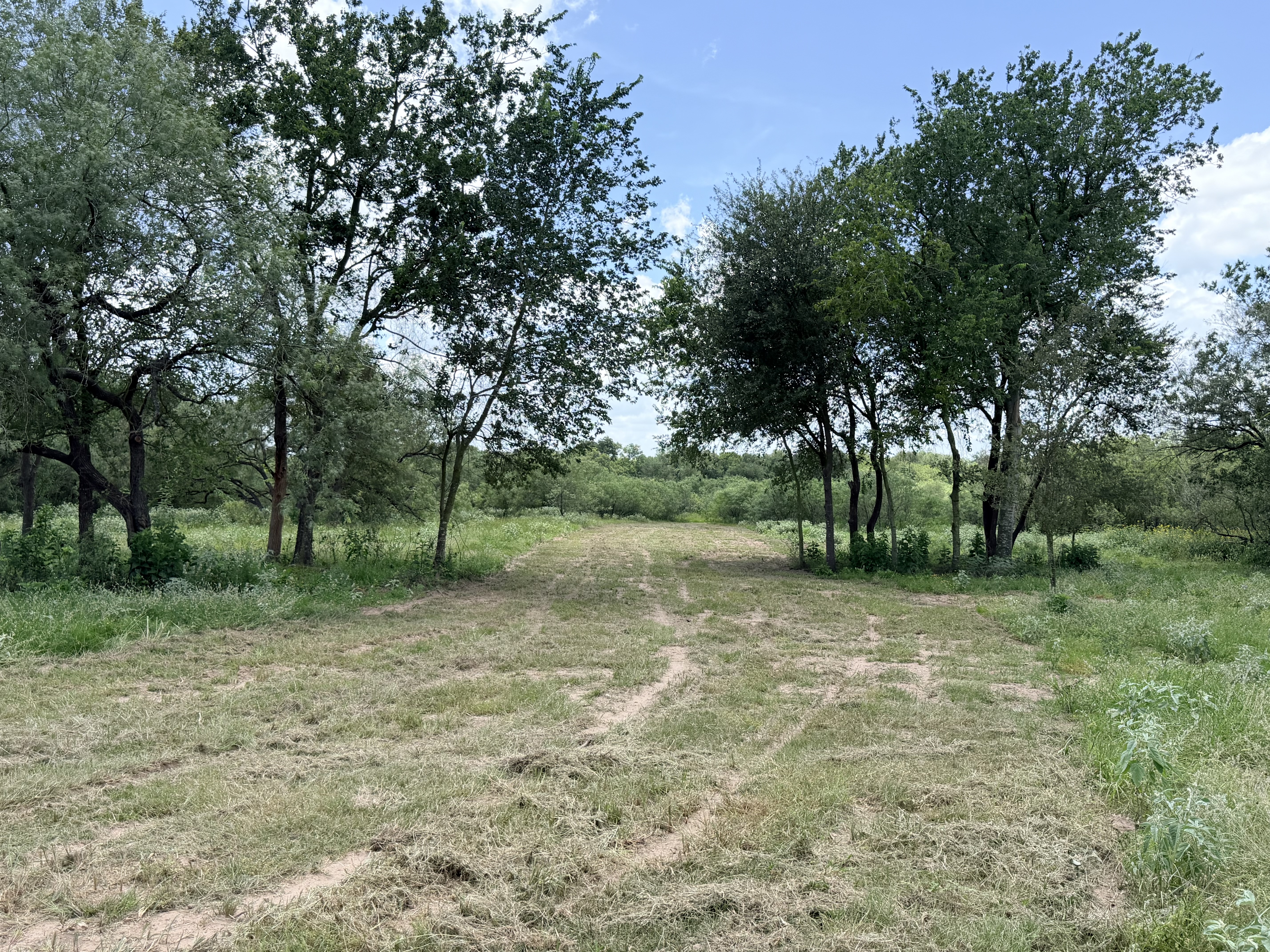 Discover a stunning piece of Central Texas landscape located in Luling, TX. This property offers over 12 acres of land, providing the perfect blend of country living and convenience. Enjoy the serene environment, just minutes from town, while experiencing true rural tranquility. The land boasts enormous shade trees and beautiful creek bottom terrain. Its gentle, sloping topography offers pristine views of the surrounding countryside, making it an ideal spot for those seeking scenic vistas. West Plum Creek runs along the backside of the property, adding to its natural appeal. The property features FM highway frontage, ensuring easy access. Several prime building sites are ready for development, with new fencing and electricity already installed. These improvements make the land immediately usable for various purposes. Situated within 5 minutes of Luling and just 10 minutes from Lockhart, this property provides quick access to nearby towns. It is less than an hour from both Austin and San Antonio, and only about 45 minutes from the Austin International Airport and Circuit of the Americas racetrack. 
NO RESTRICTIONS
AG EXEMPT - WILDLIFE