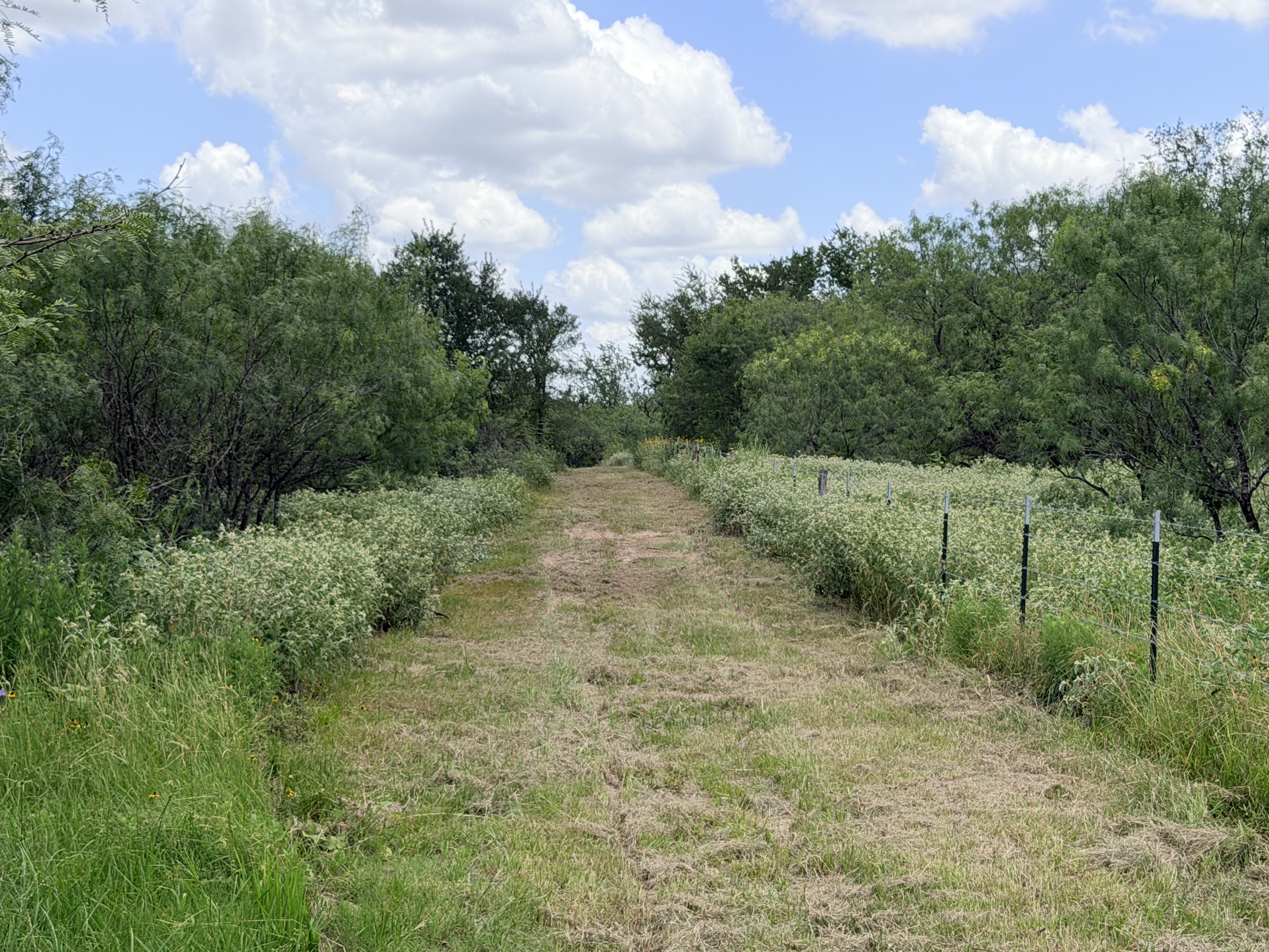 Discover a stunning piece of Central Texas landscape located in Luling, TX. This property offers over 12 acres of land, providing the perfect blend of country living and convenience. Enjoy the serene environment, just minutes from town, while experiencing true rural tranquility. The land boasts enormous shade trees and beautiful creek bottom terrain. Its gentle, sloping topography offers pristine views of the surrounding countryside, making it an ideal spot for those seeking scenic vistas. West Plum Creek runs along the backside of the property, adding to its natural appeal. The property features FM highway frontage, ensuring easy access. Several prime building sites are ready for development, with new fencing and electricity already installed. These improvements make the land immediately usable for various purposes. Situated within 5 minutes of Luling and just 10 minutes from Lockhart, this property provides quick access to nearby towns. It is less than an hour from both Austin and San Antonio, and only about 45 minutes from the Austin International Airport and Circuit of the Americas racetrack. 
NO RESTRICTIONS
AG EXEMPT - WILDLIFE