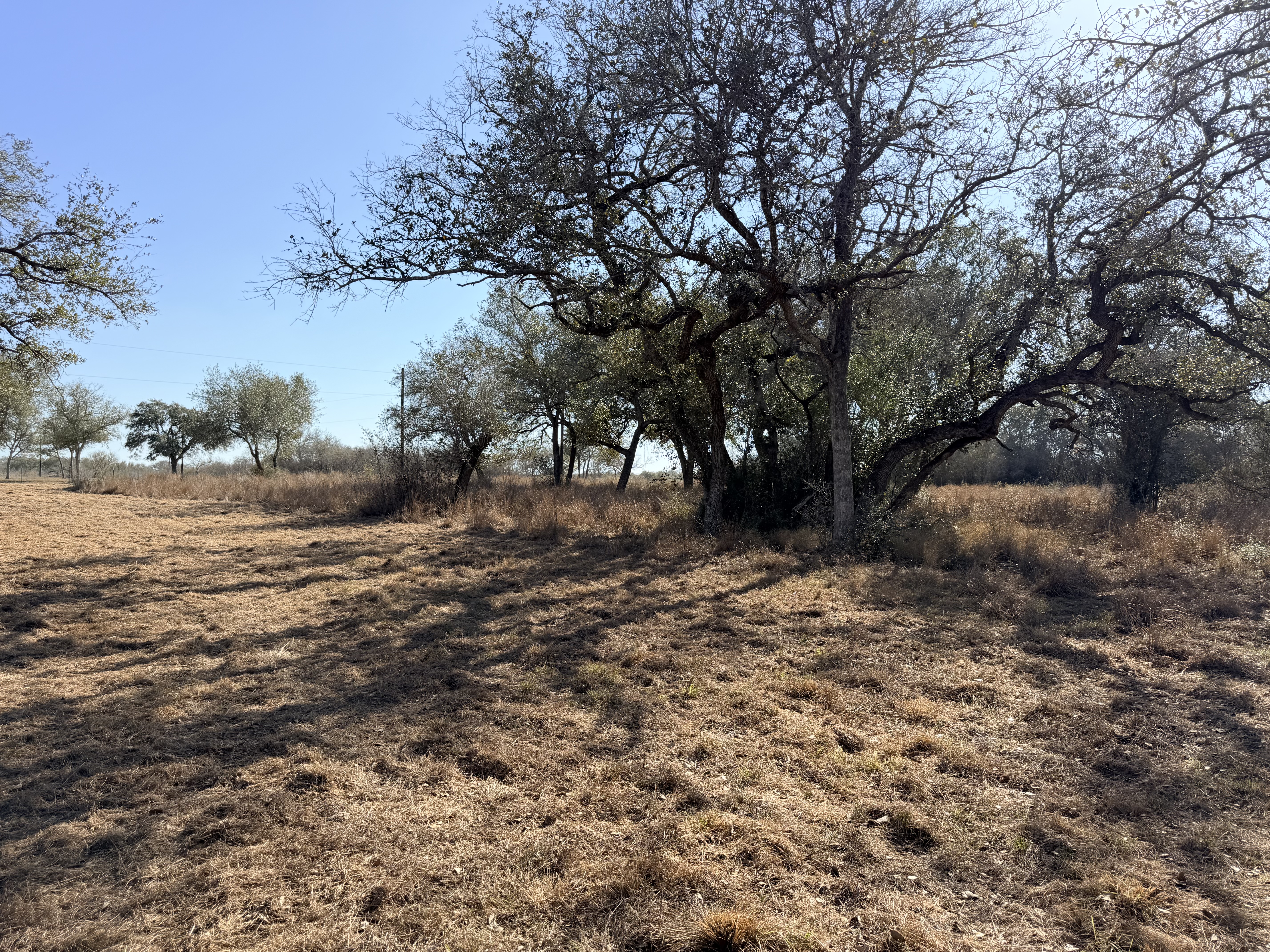 and for sale, goliad tx, hunting