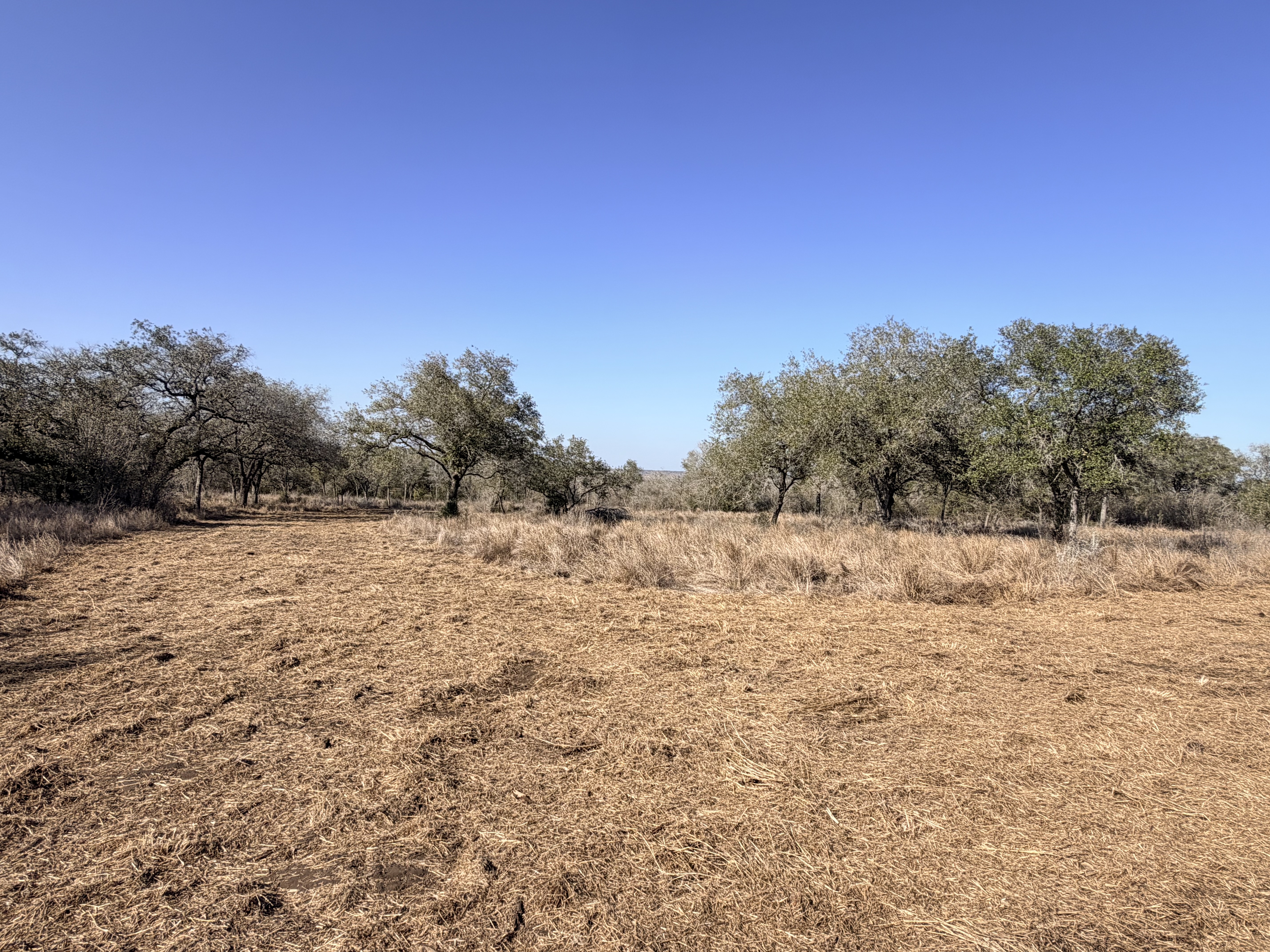 and for sale, goliad tx, hunting