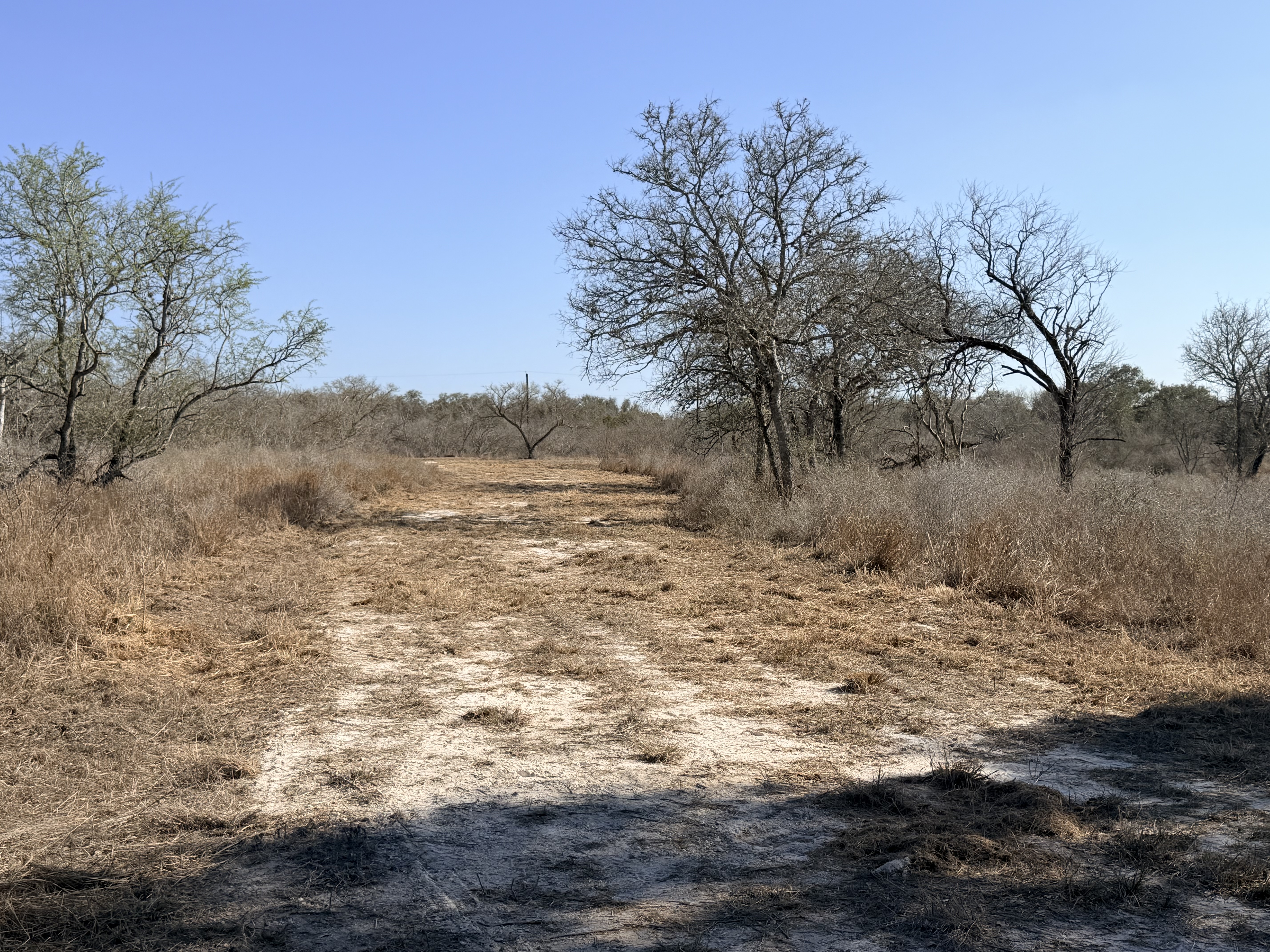 FM 1351/Lefty Lane 1776 FM 1351, Goliad, Texas 77963, ,Land,For Sale,FM 1351/Lefty Lane,1088