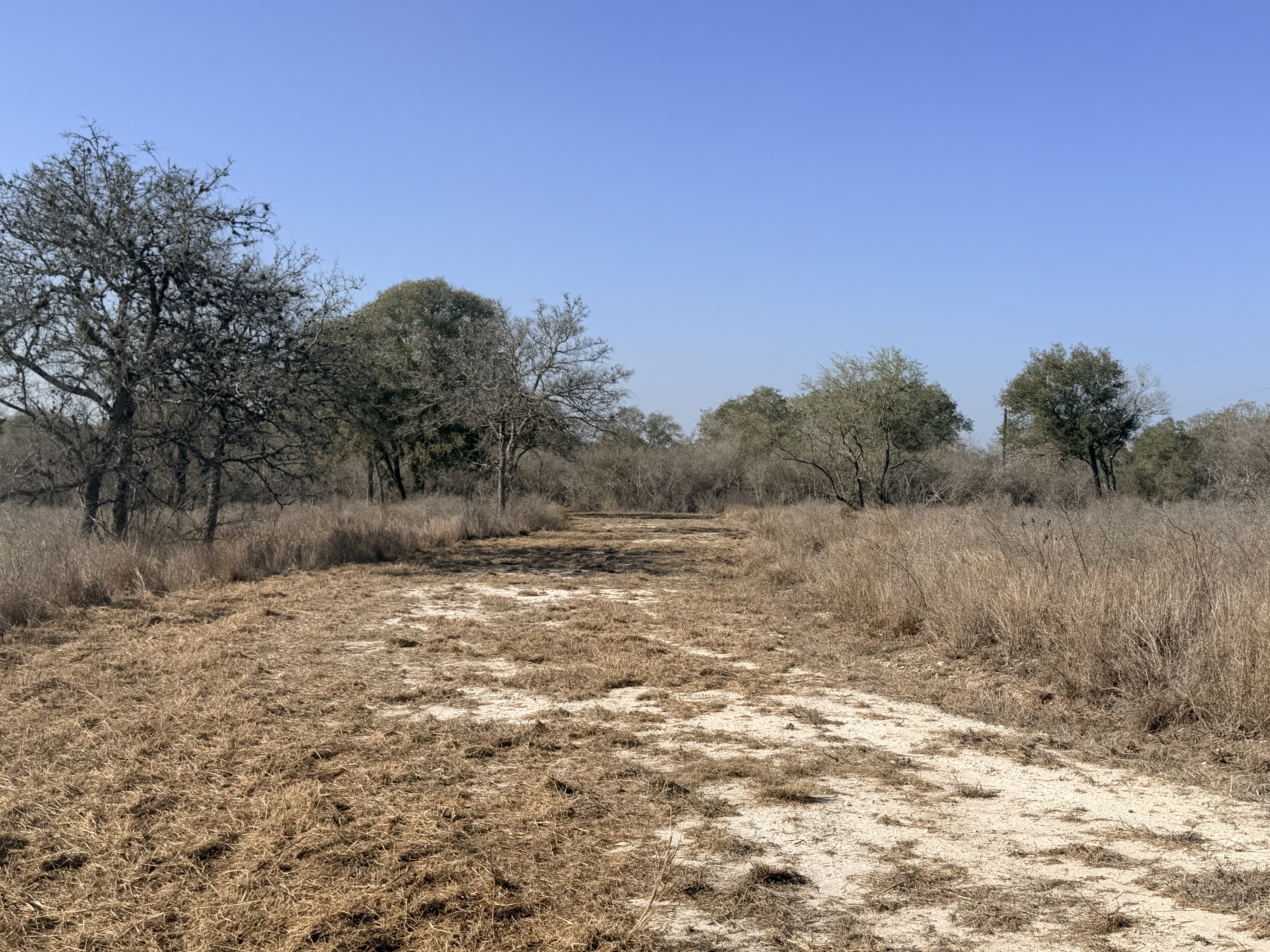 FM 1351/Lefty Lane 1776 FM 1351, Goliad, Texas 77963, ,Land,For Sale,FM 1351/Lefty Lane,1088