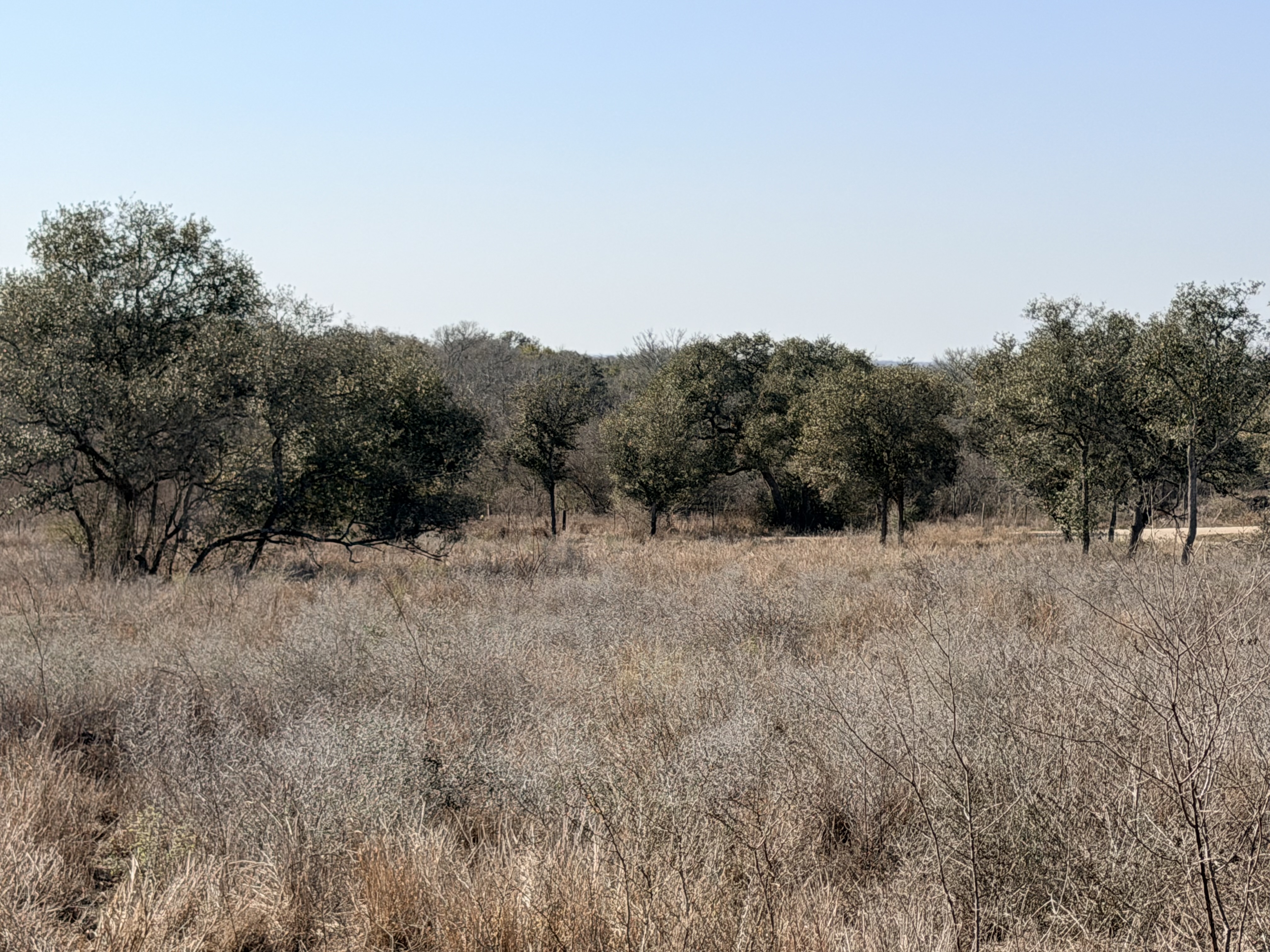FM 1351/Lefty Lane 1776 FM 1351, Goliad, Texas 77963, ,Land,For Sale,FM 1351/Lefty Lane,1088