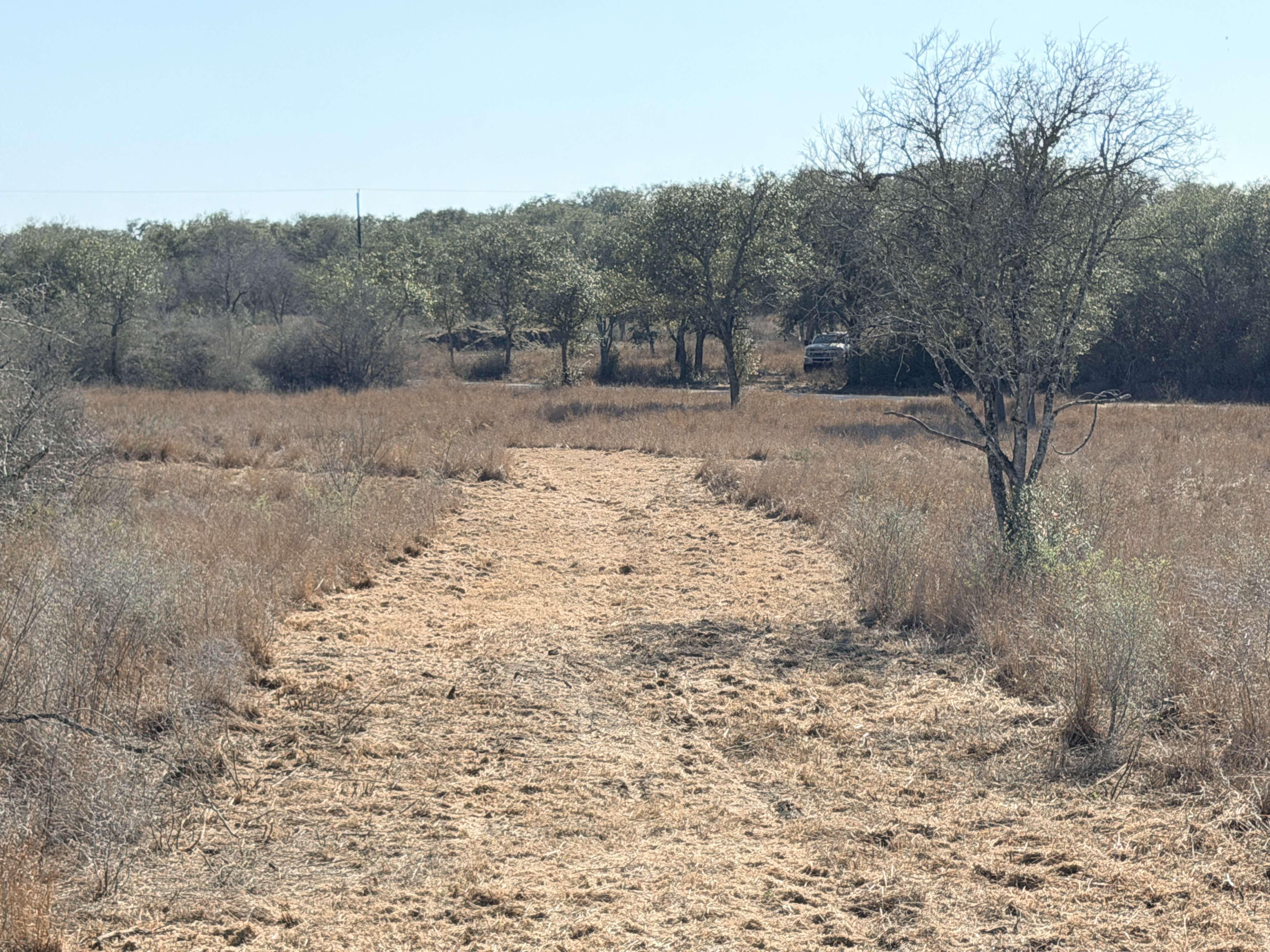 FM 1351/Lefty Lane 1776 FM 1351, Goliad, Texas 77963, ,Land,For Sale,FM 1351/Lefty Lane,1088