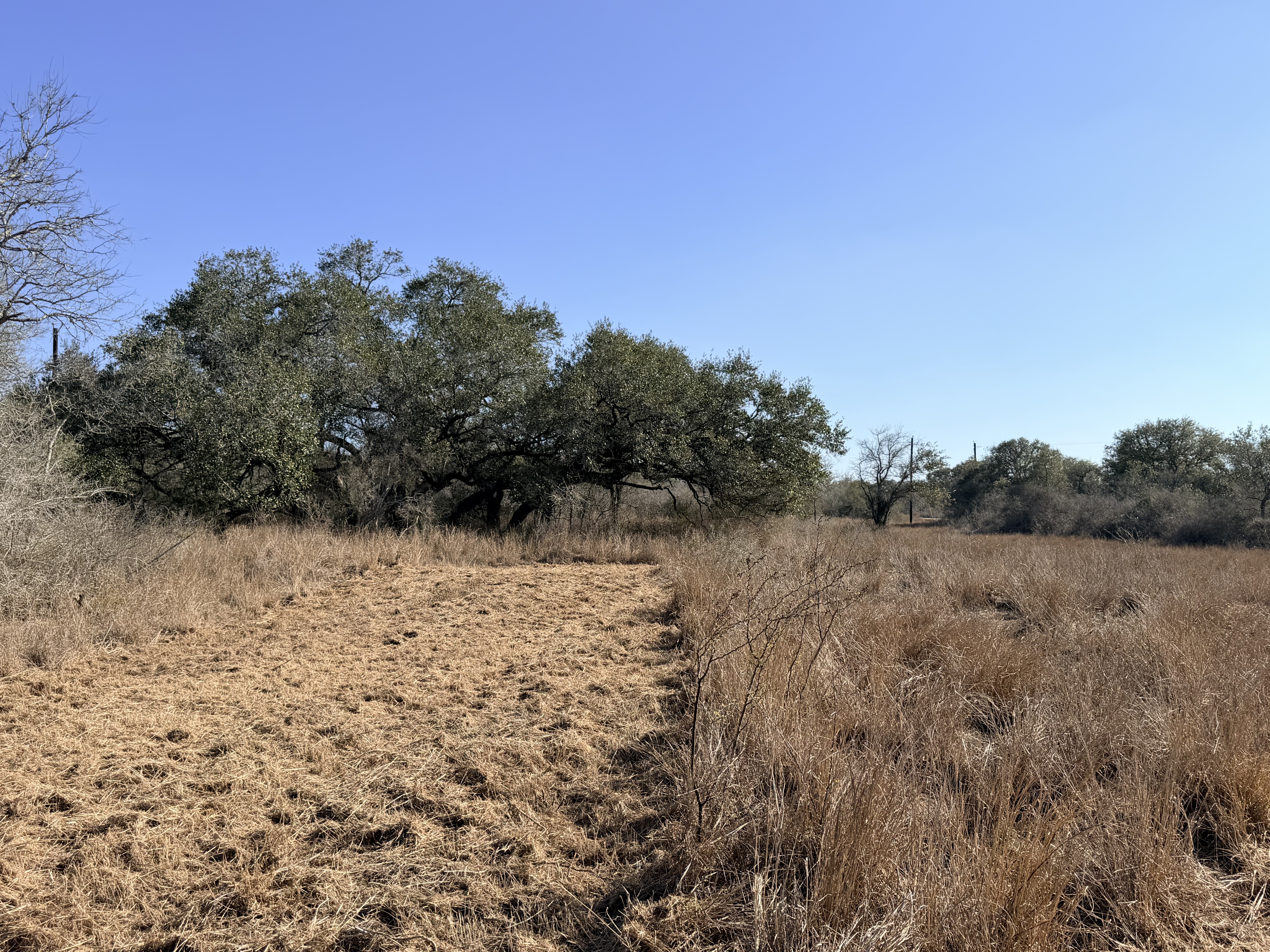FM 1351/Lefty Lane 1776 FM 1351, Goliad, Texas 77963, ,Land,For Sale,FM 1351/Lefty Lane,1088