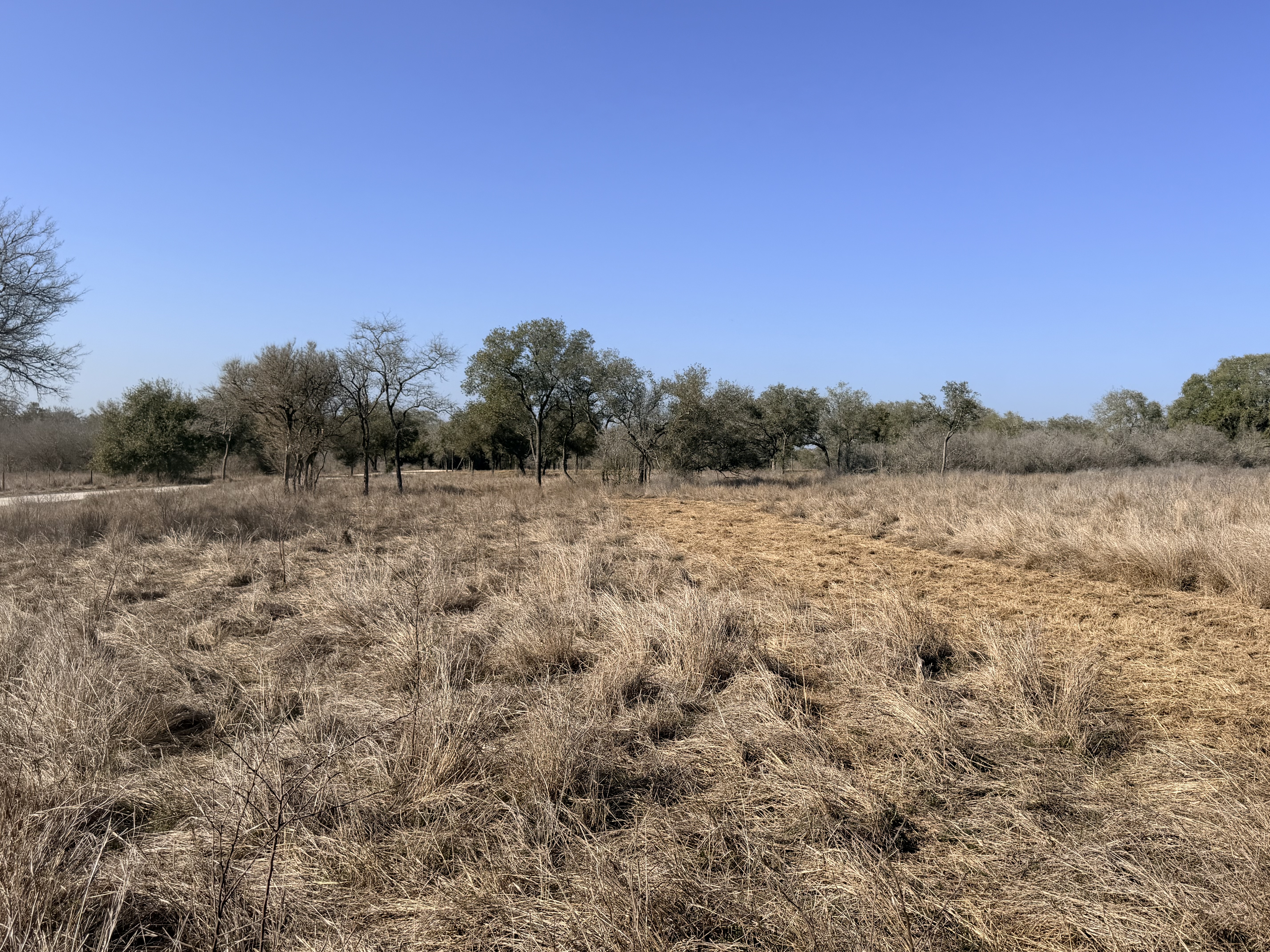 FM 1351/Lefty Lane 1776 FM 1351, Goliad, Texas 77963, ,Land,For Sale,FM 1351/Lefty Lane,1088